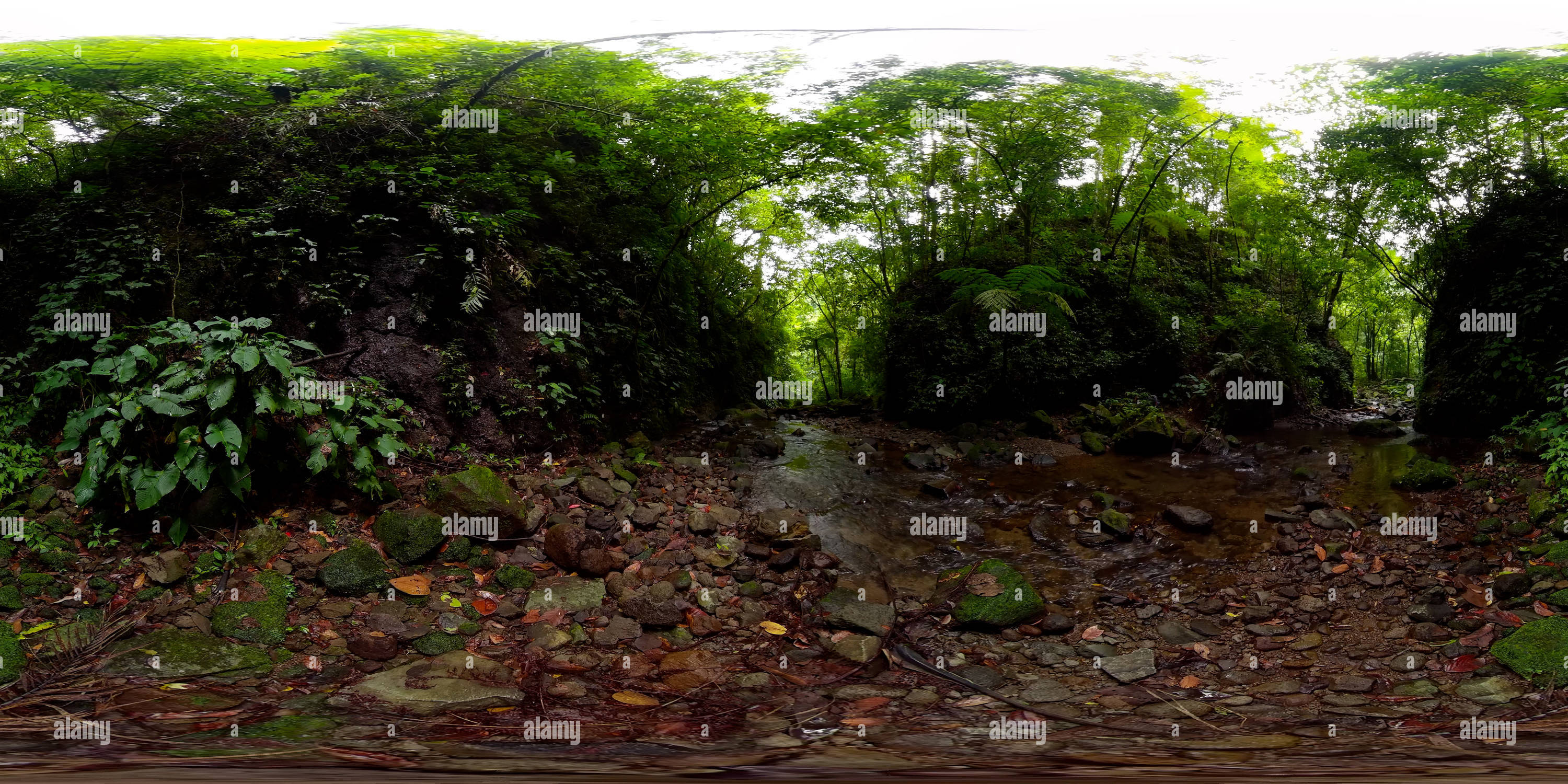360 degree panoramic view of River in the rainforest in the mountains.