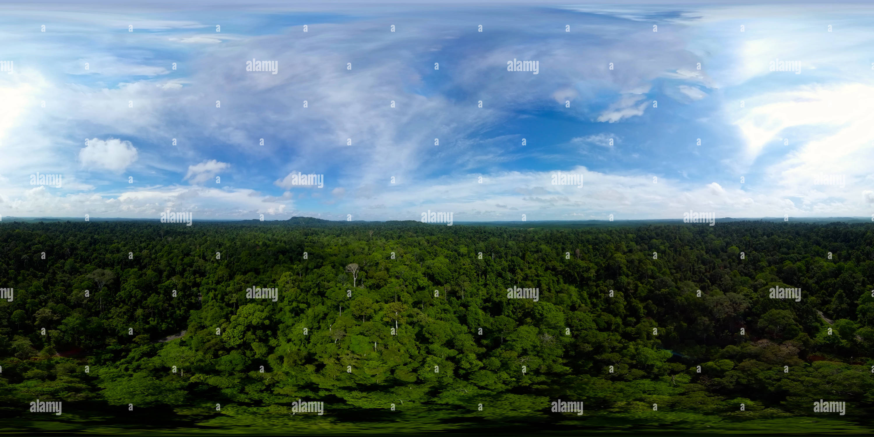 360 degree panoramic view of Rainforest in Borneo. Malaysia. VR 360.