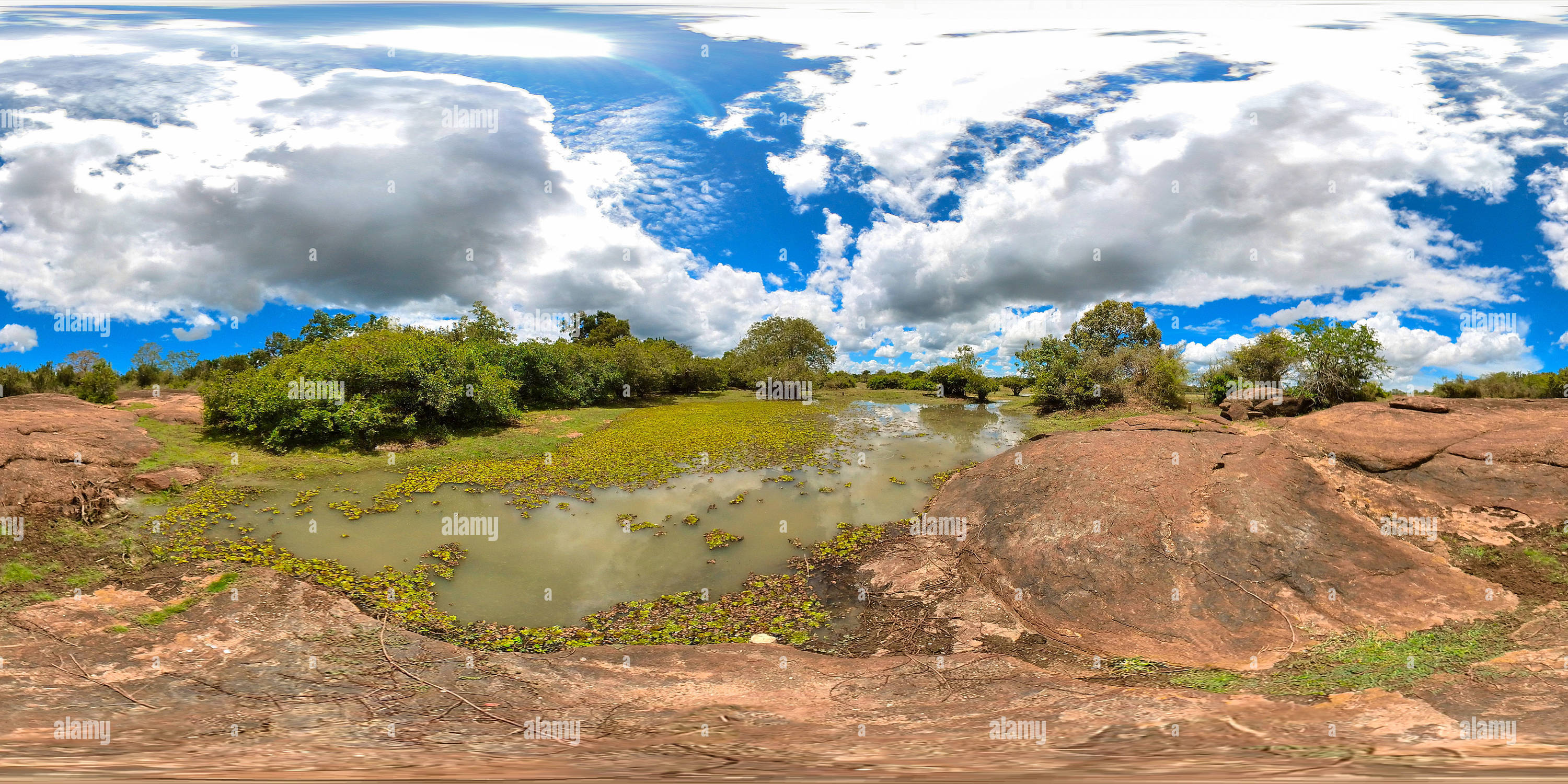 360 degree panoramic view of National Park in Sri Lanka.