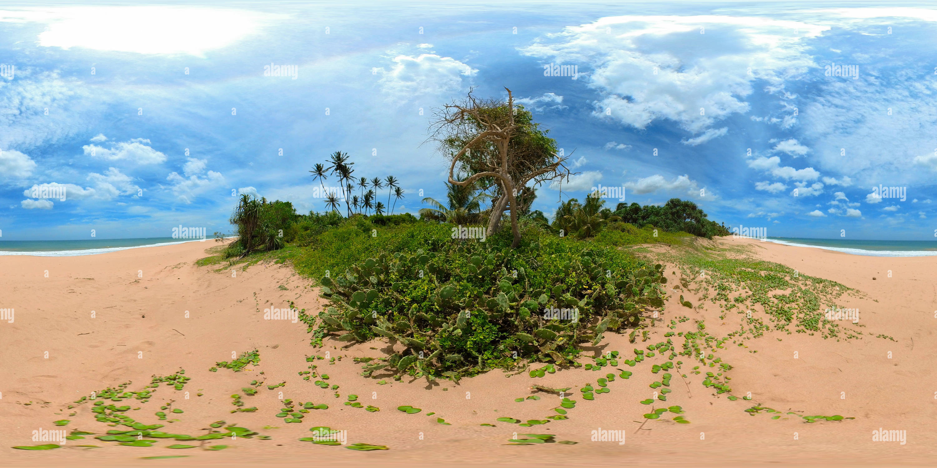 360 degree panoramic view of Seascape with beautiful beach in Sri Lanka.
