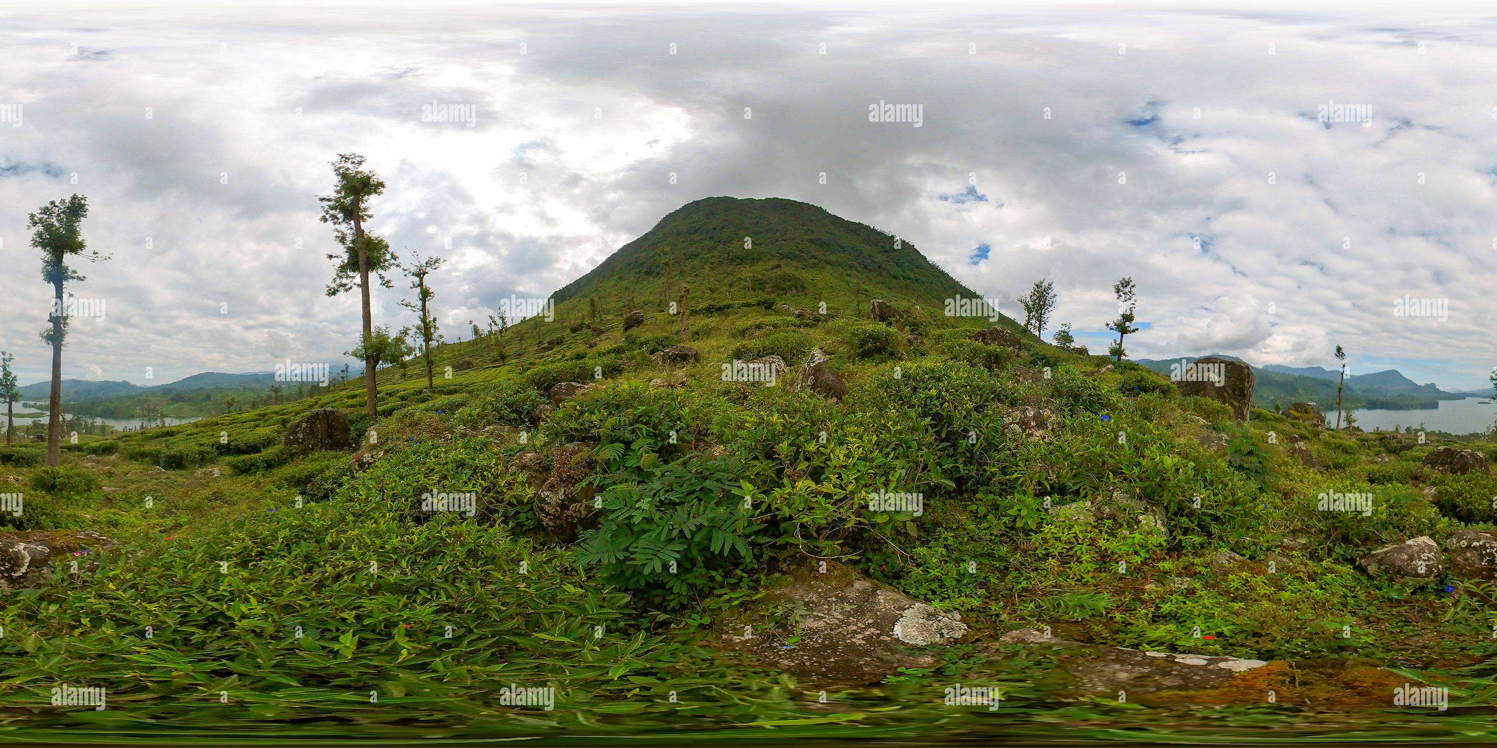 360 degree panoramic view of Tea plantations in Maskeliya, Sri Lanka.