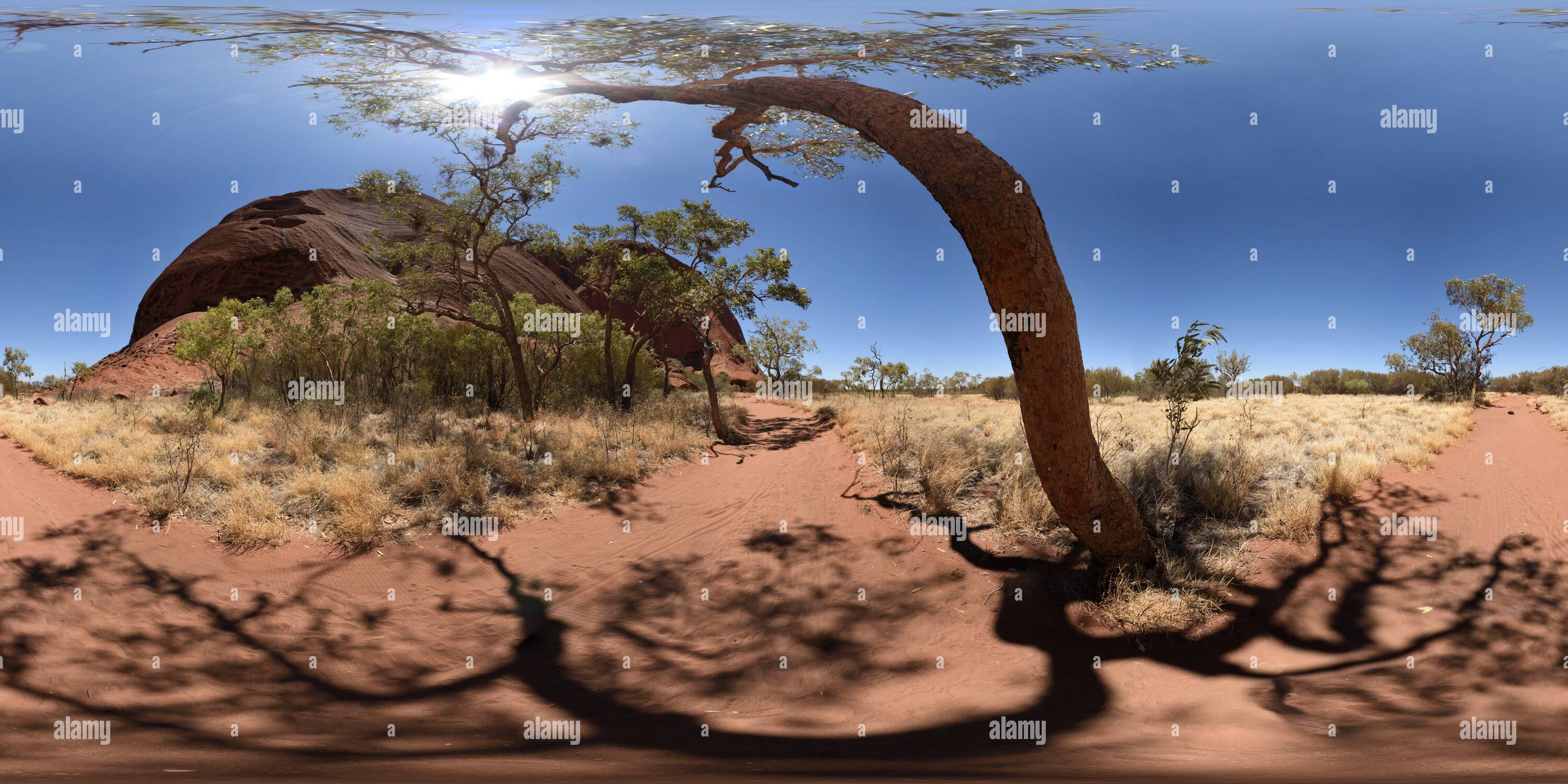 360 degree panoramic view of 360° Panorama on Kuniya Walk Uluru, the circumference base track around of Ayres Rock in the Australian Outback, Northern Territory, Australia.