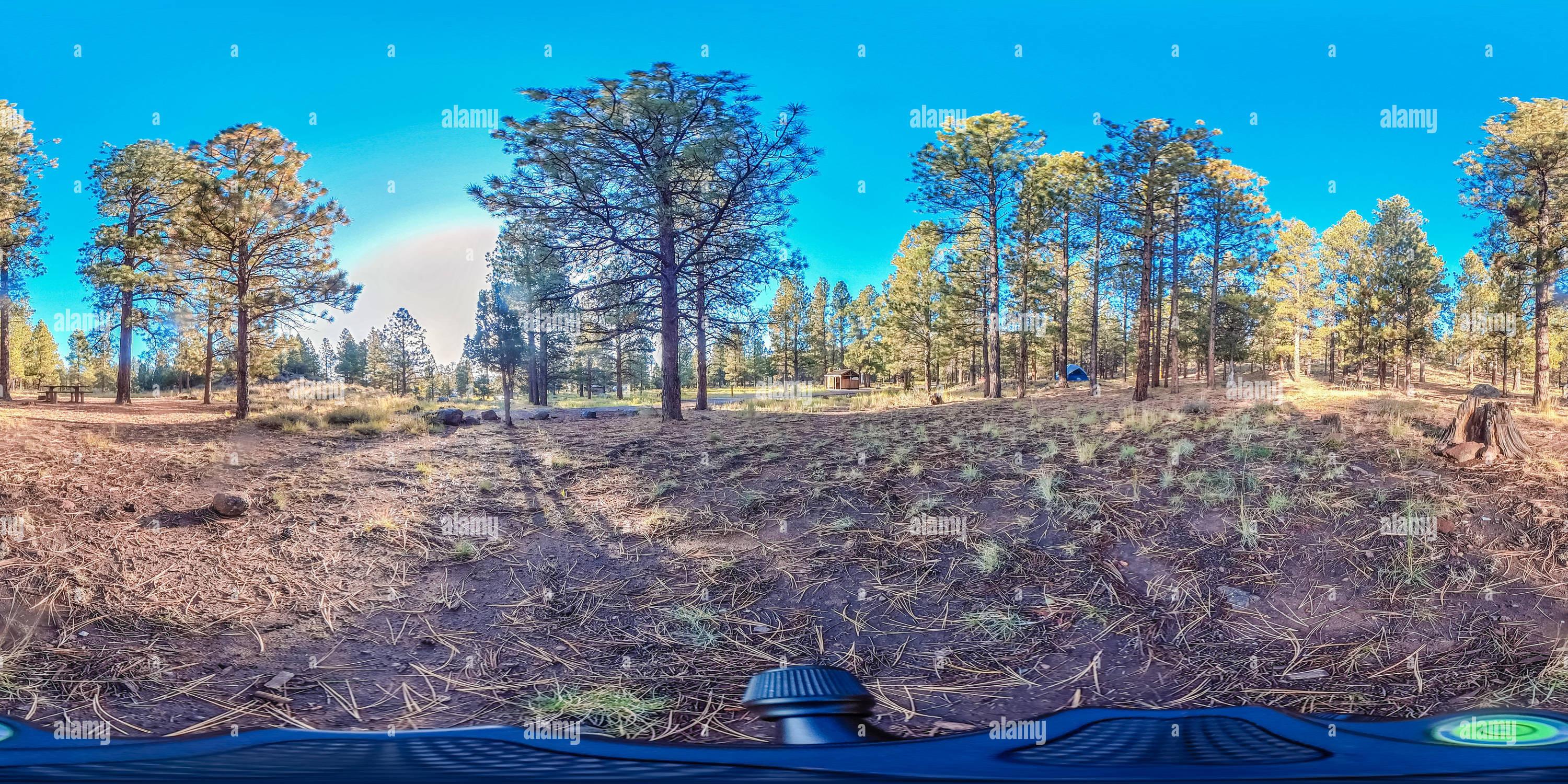 360° view of Singletree Campground, Fishlake National Forest, Torrey 