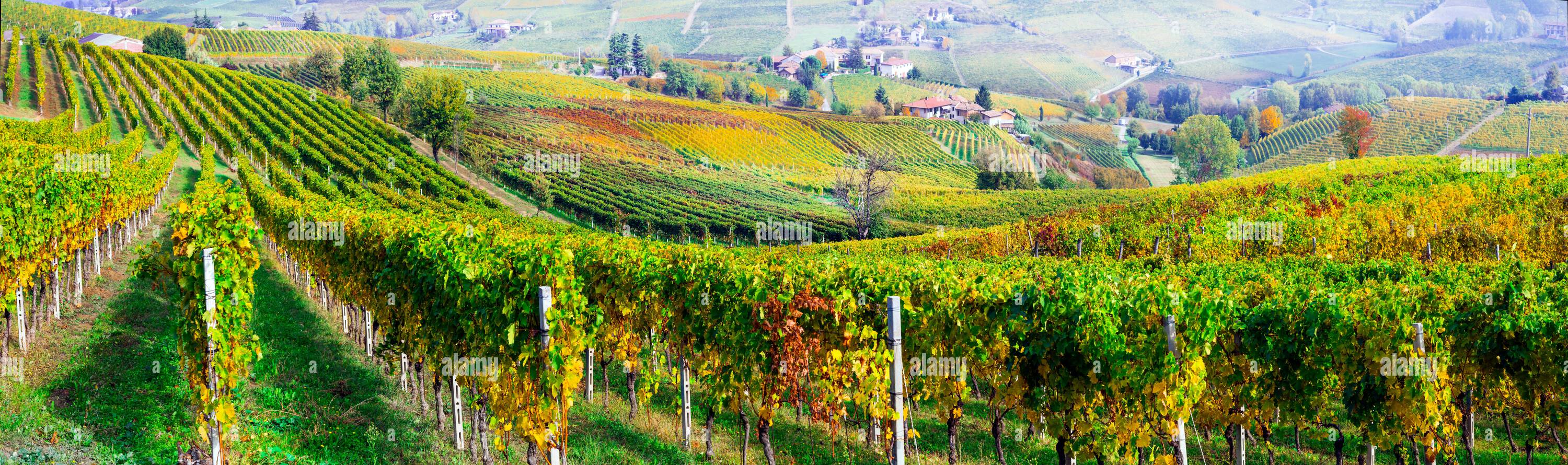 360 degree panoramic view of famous wine region in Treviso, Italy. Valdobbiadene hills and vineyards on the famous prosecco wine route , autumn landscape scenery