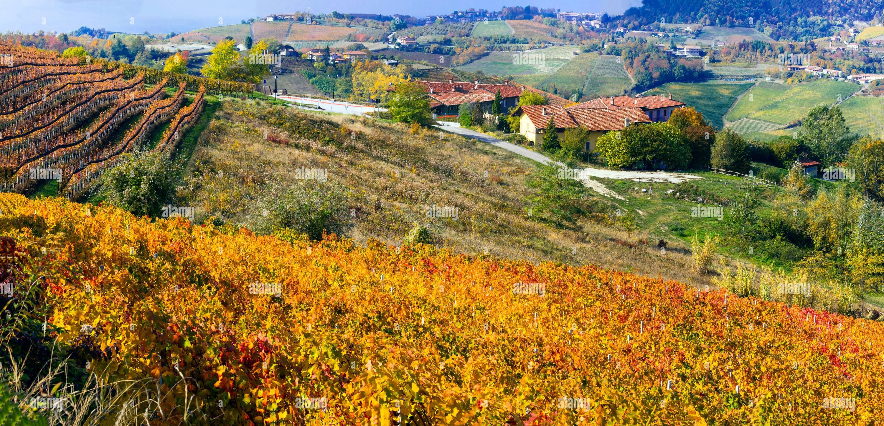 360 degree panoramic view of famous wine region in Piedmont, Italy. Scenic villages between the hills and vineyards.  autumn landscape scenery with colorful fields of grapewine