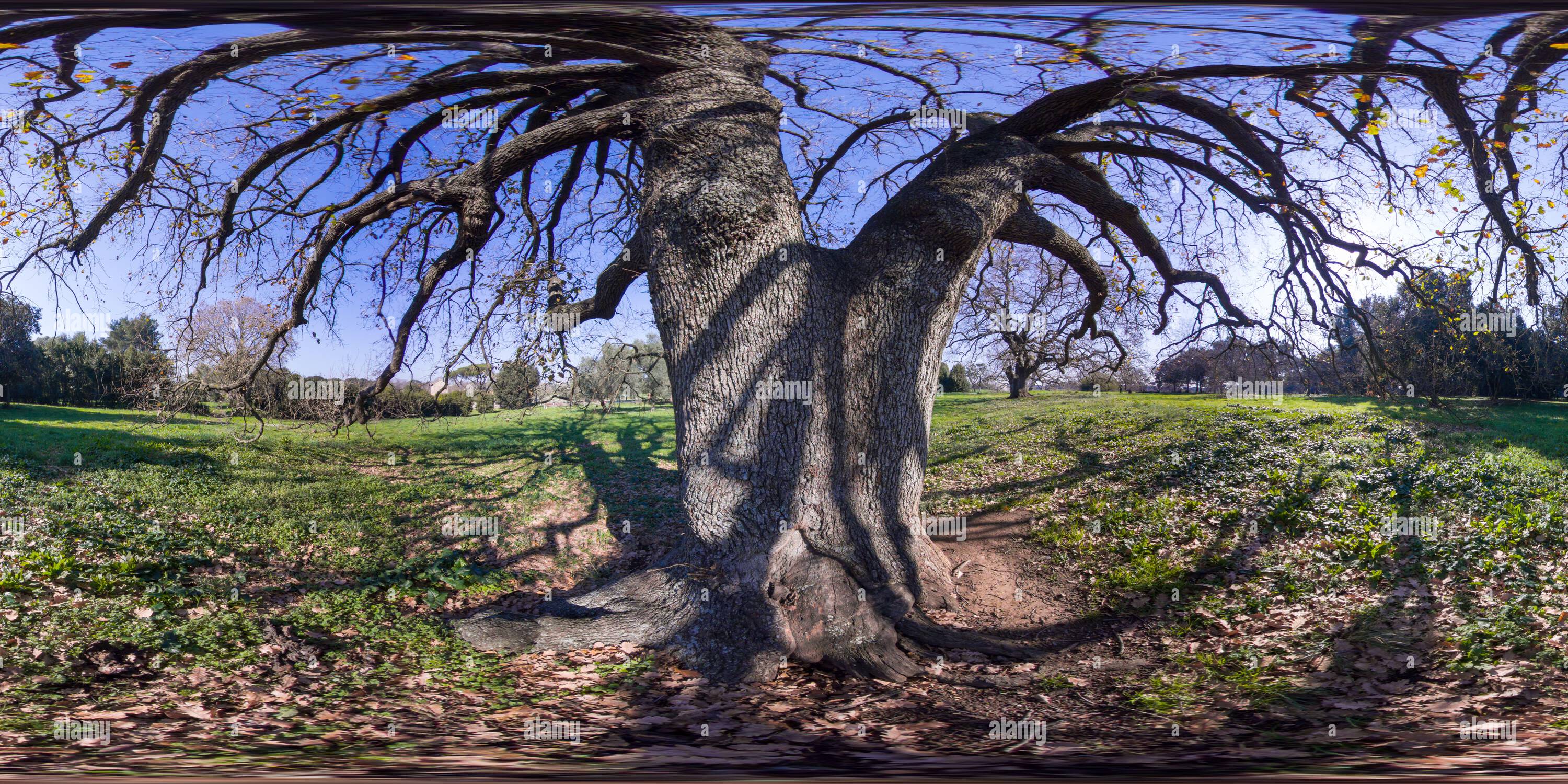 360 degree panoramic view of Nature in Villa Doria Pamphilj - Rome - 360 degree view