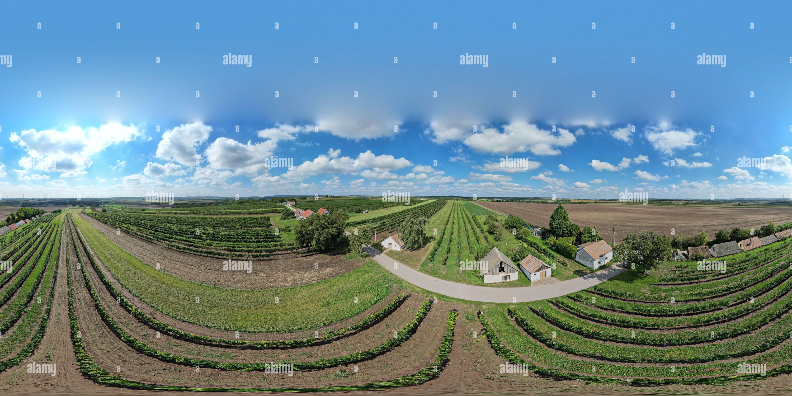 360 degree panoramic view of Kellergasse am Neugebäude Walterskirchen Poysdorf Weinkeller Weinviertel 360 Grad