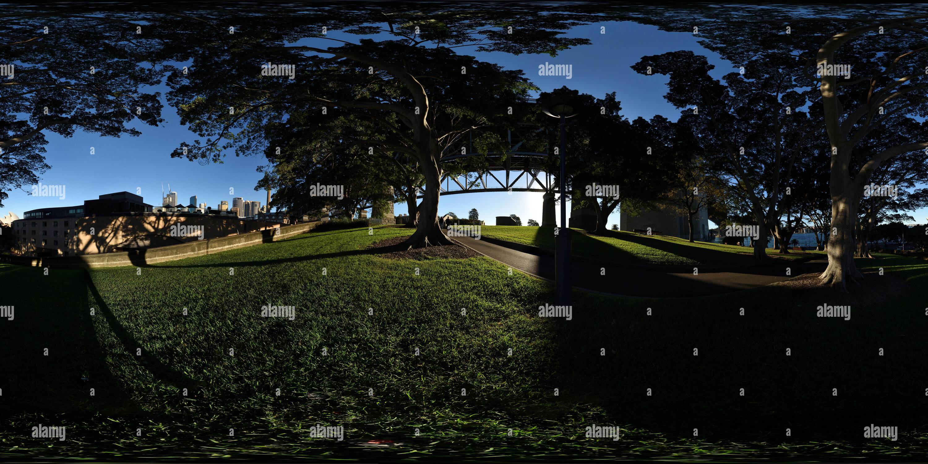 360 degree panoramic view of The avenue of ten Hill’s Weeping Fig trees (1932) at Dawes Point Battery Park under the Sydney Harbour Bridge the CBD skyline and harbour glimpses