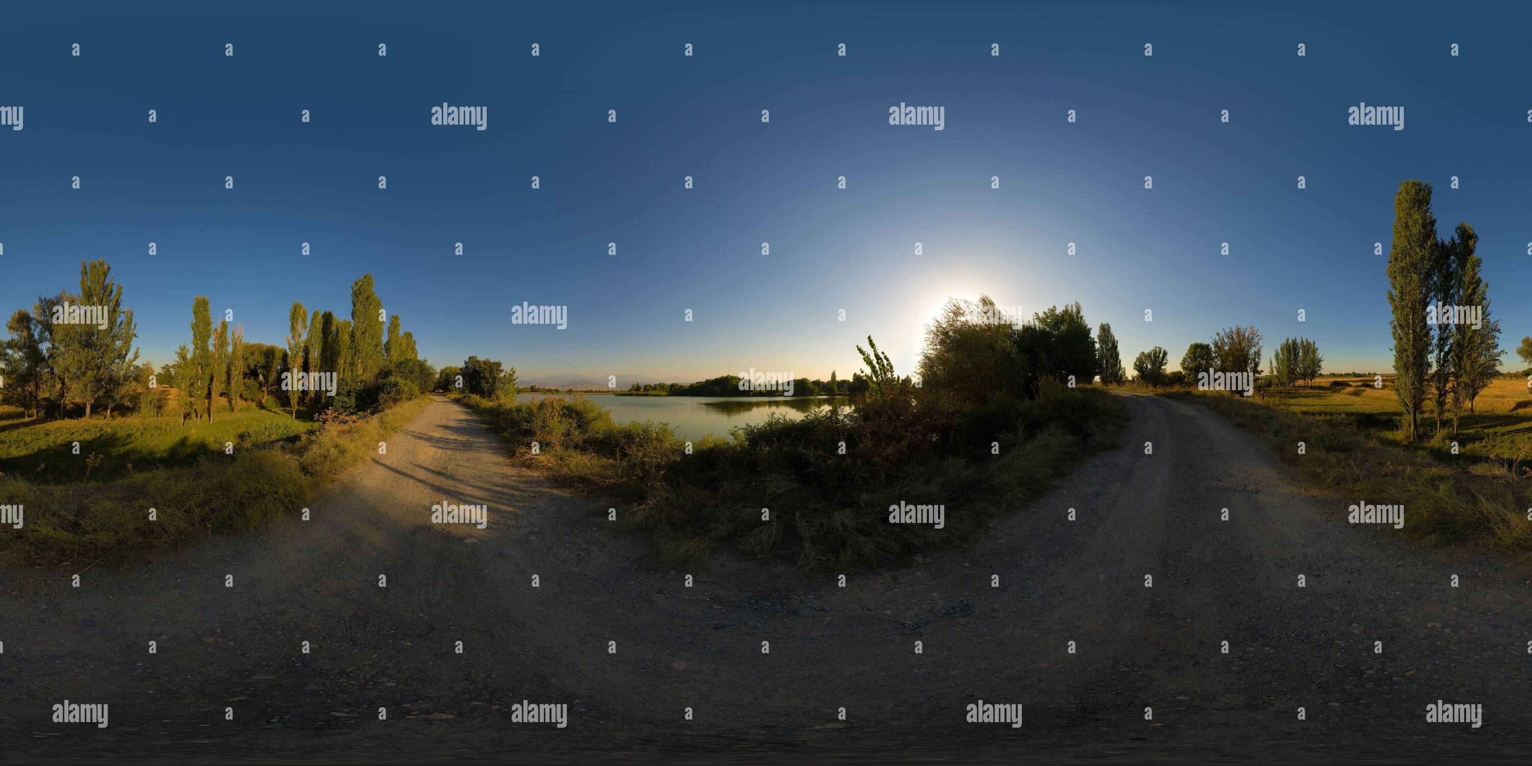 360 degree panorama bushes hi-res stock photography and images - Alamy