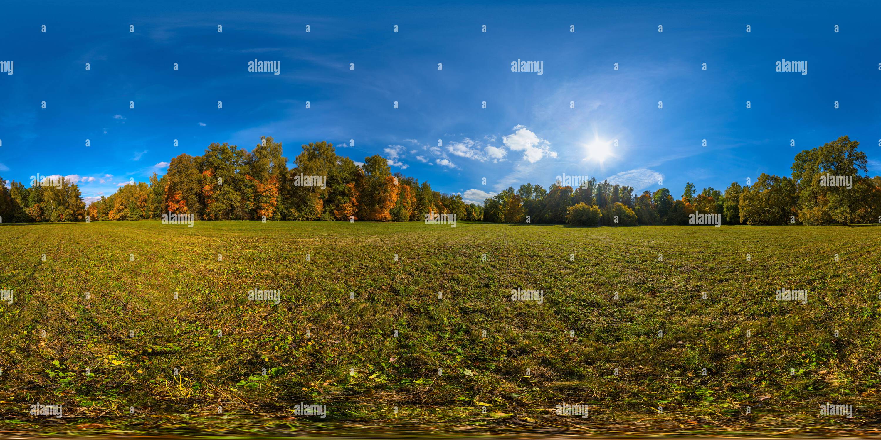 360 vr green yellow forest hi-res stock photography and images - Alamy