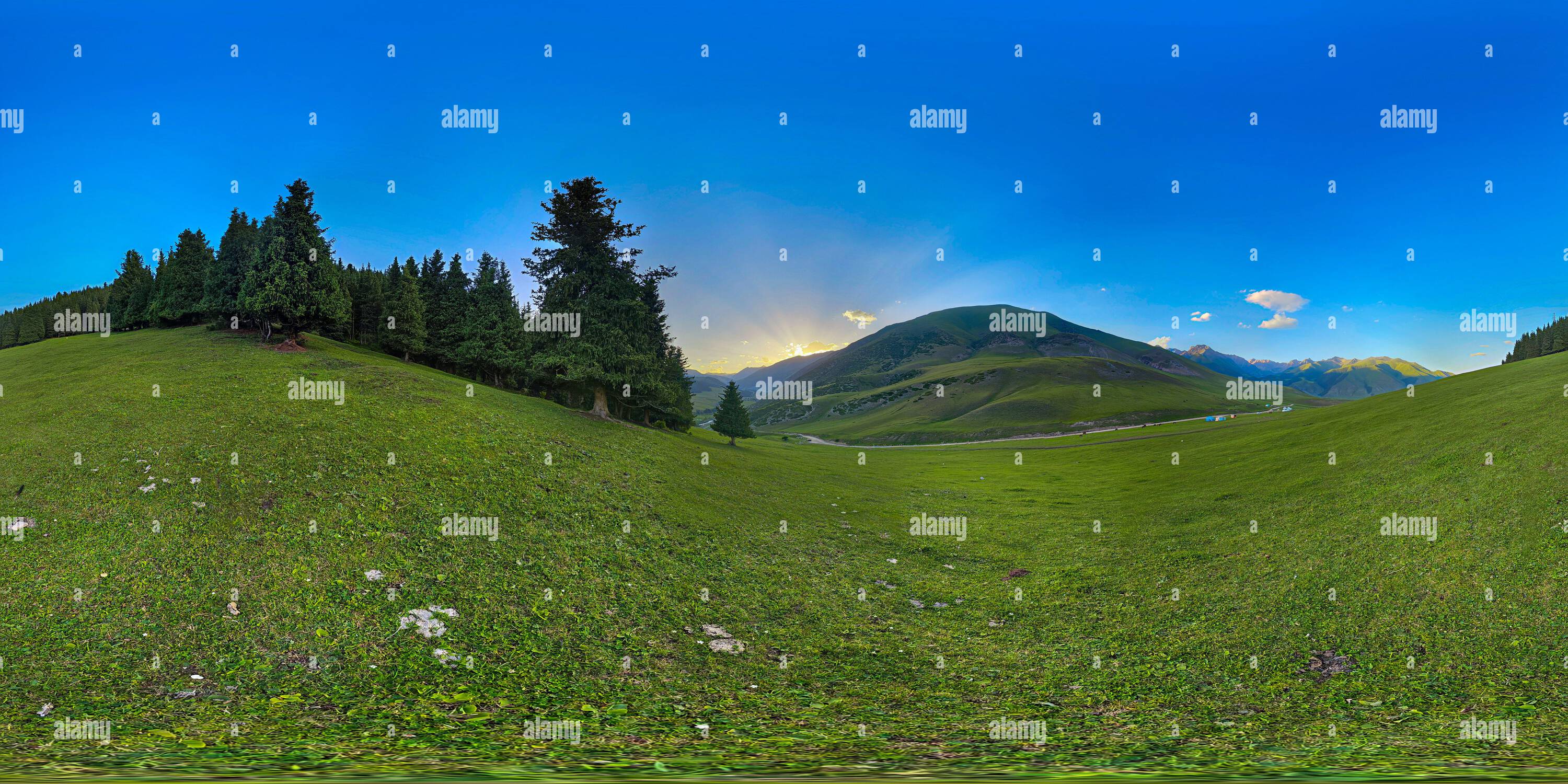 360 degree vr panorama green hi-res stock photography and images - Alamy