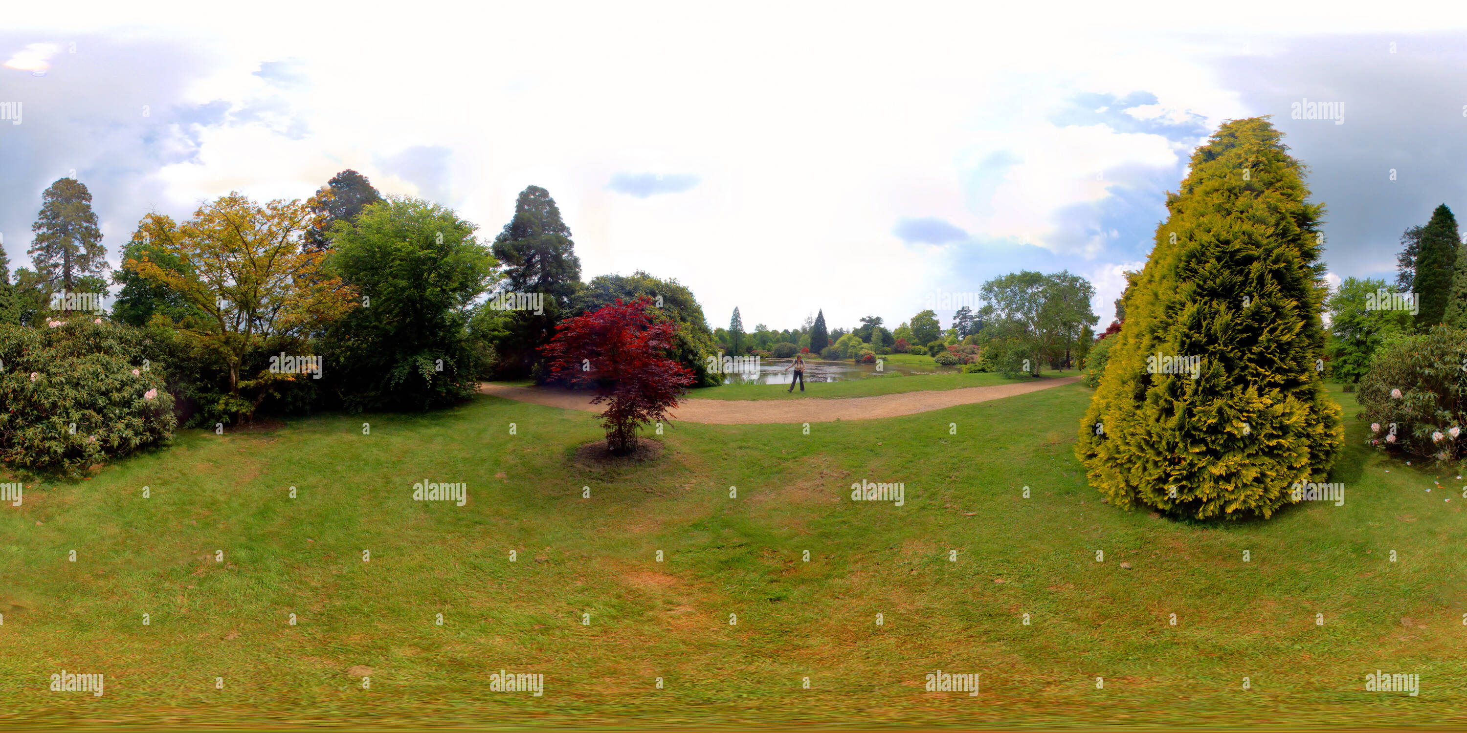 Is 360° Sheffield Fi Changing The City? - epp9vh4