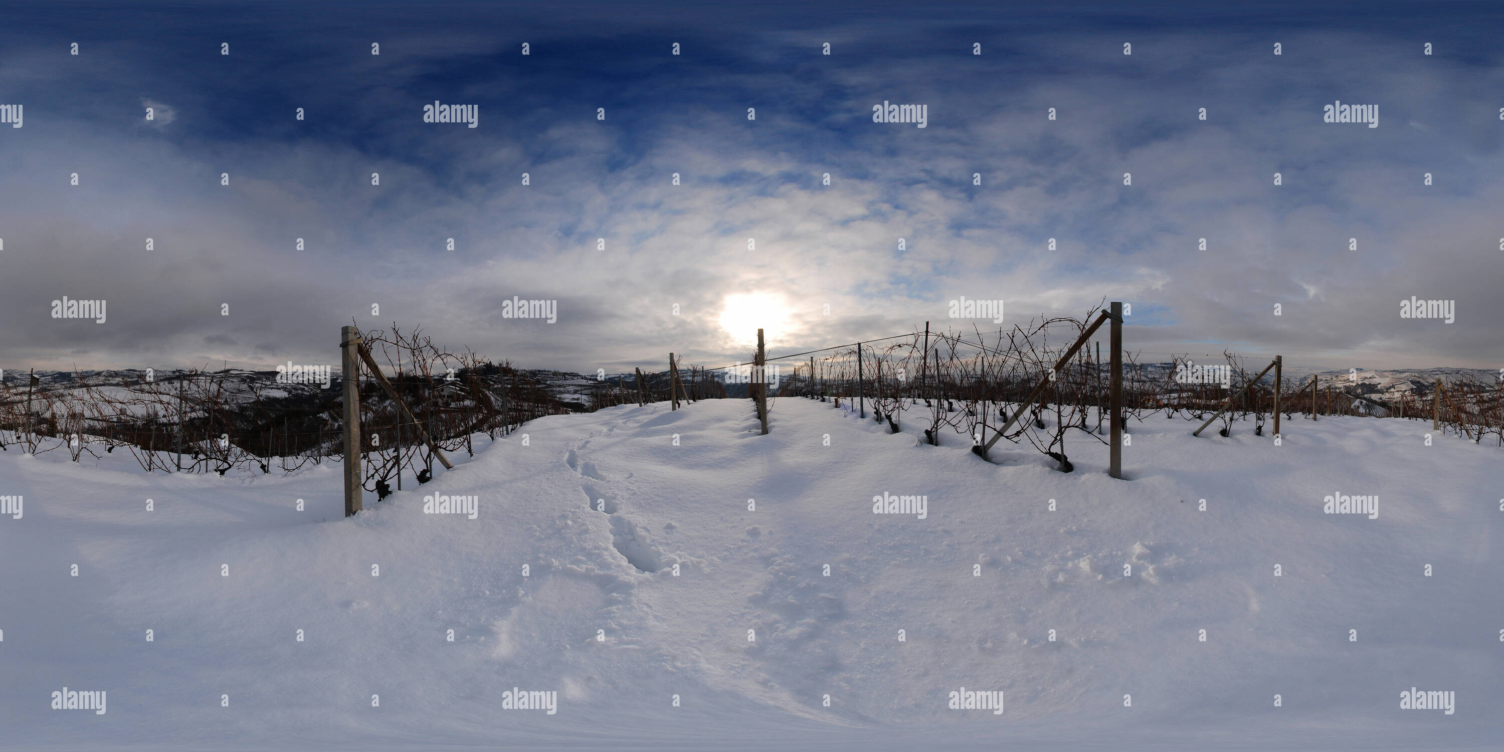 360 degree panoramic view of Rodello, the vineyards in wintertime