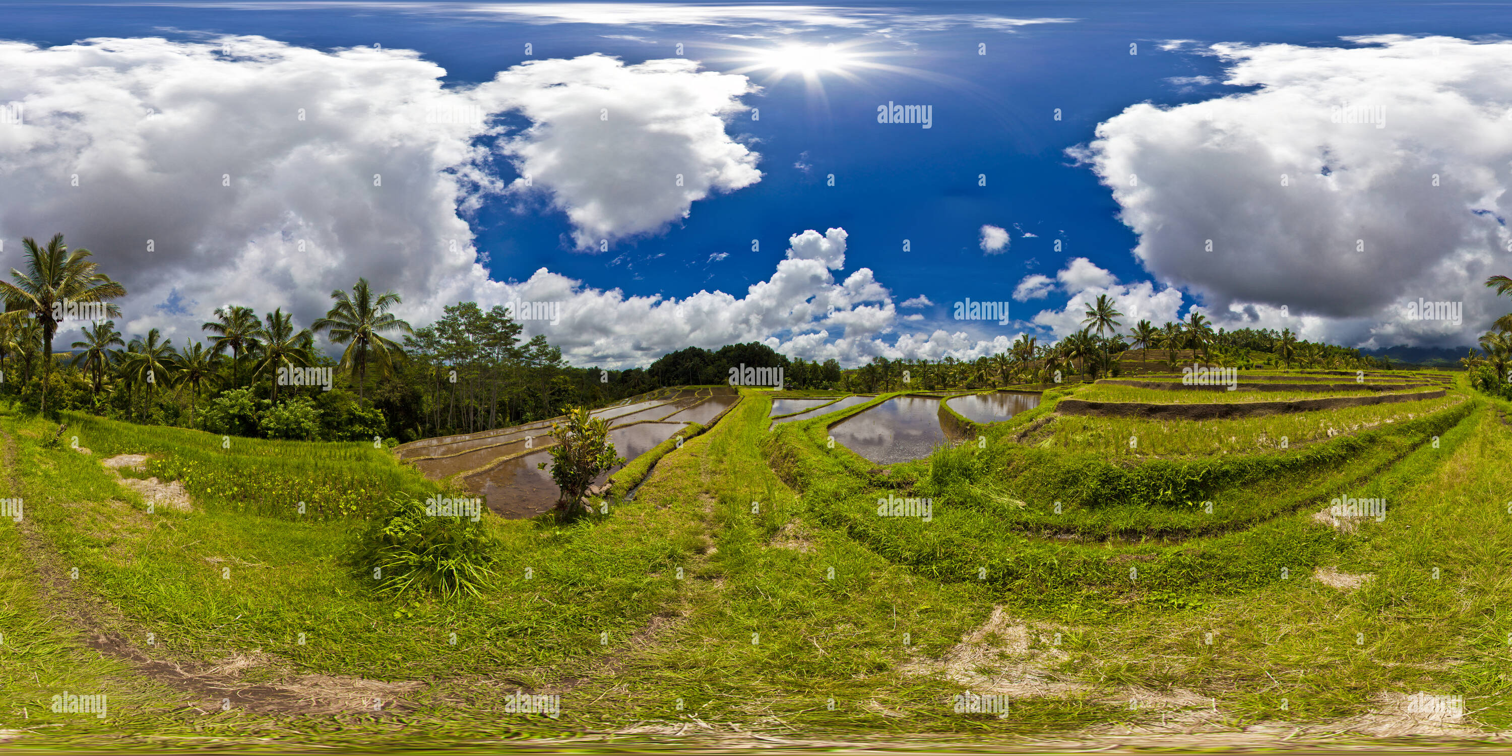 360 degree panoramic view of Jatiluwih's Beautiful Terraced Rice Fields