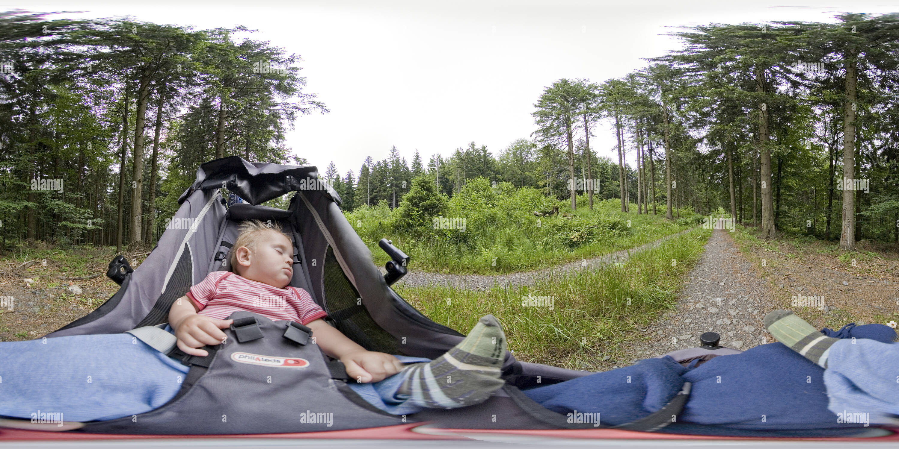 360-view-of-ben-napping-in-the-forest-alamy