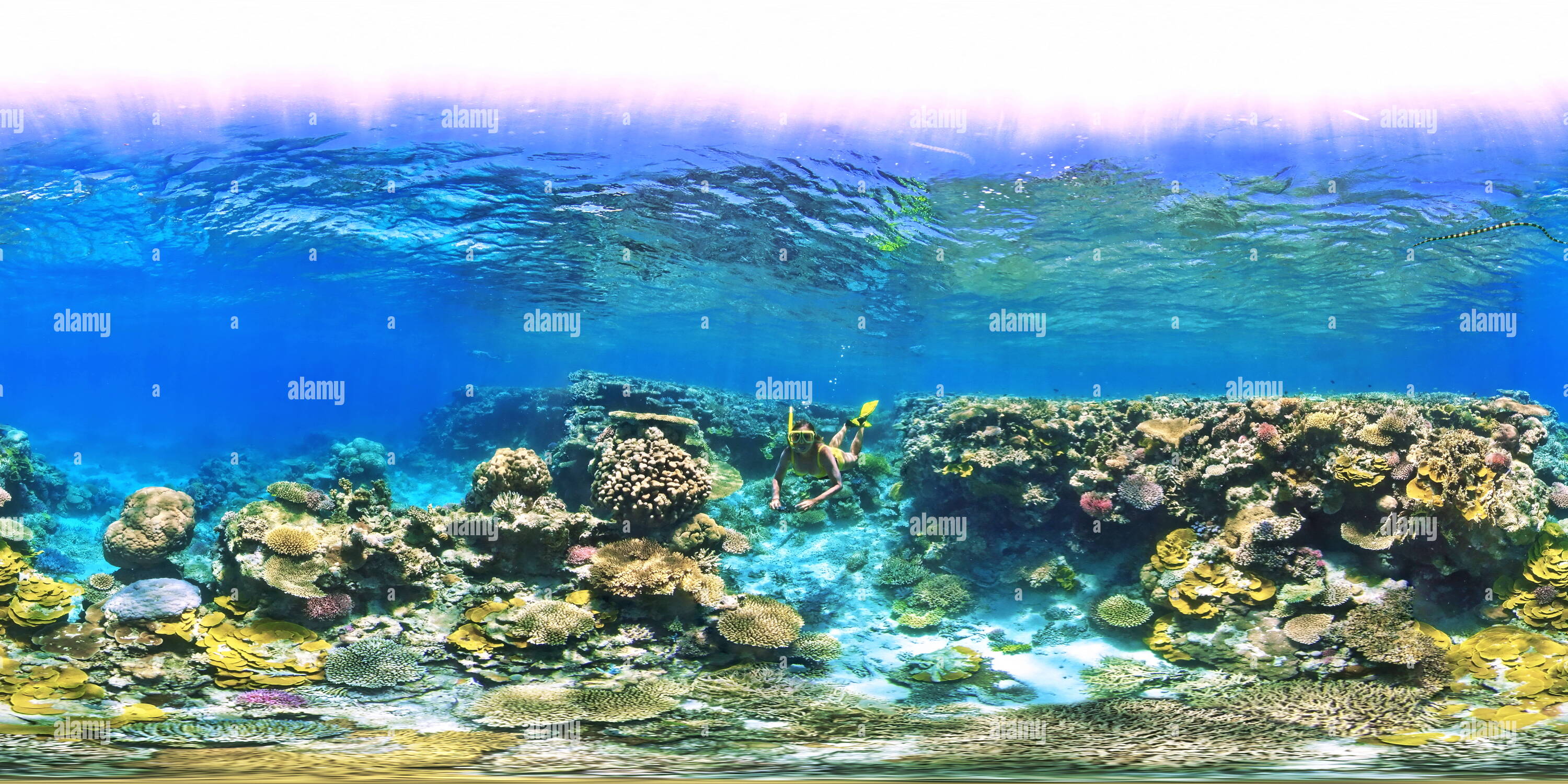 360 degree panoramic view of Ua Coral Reef Sphere New Caledonia