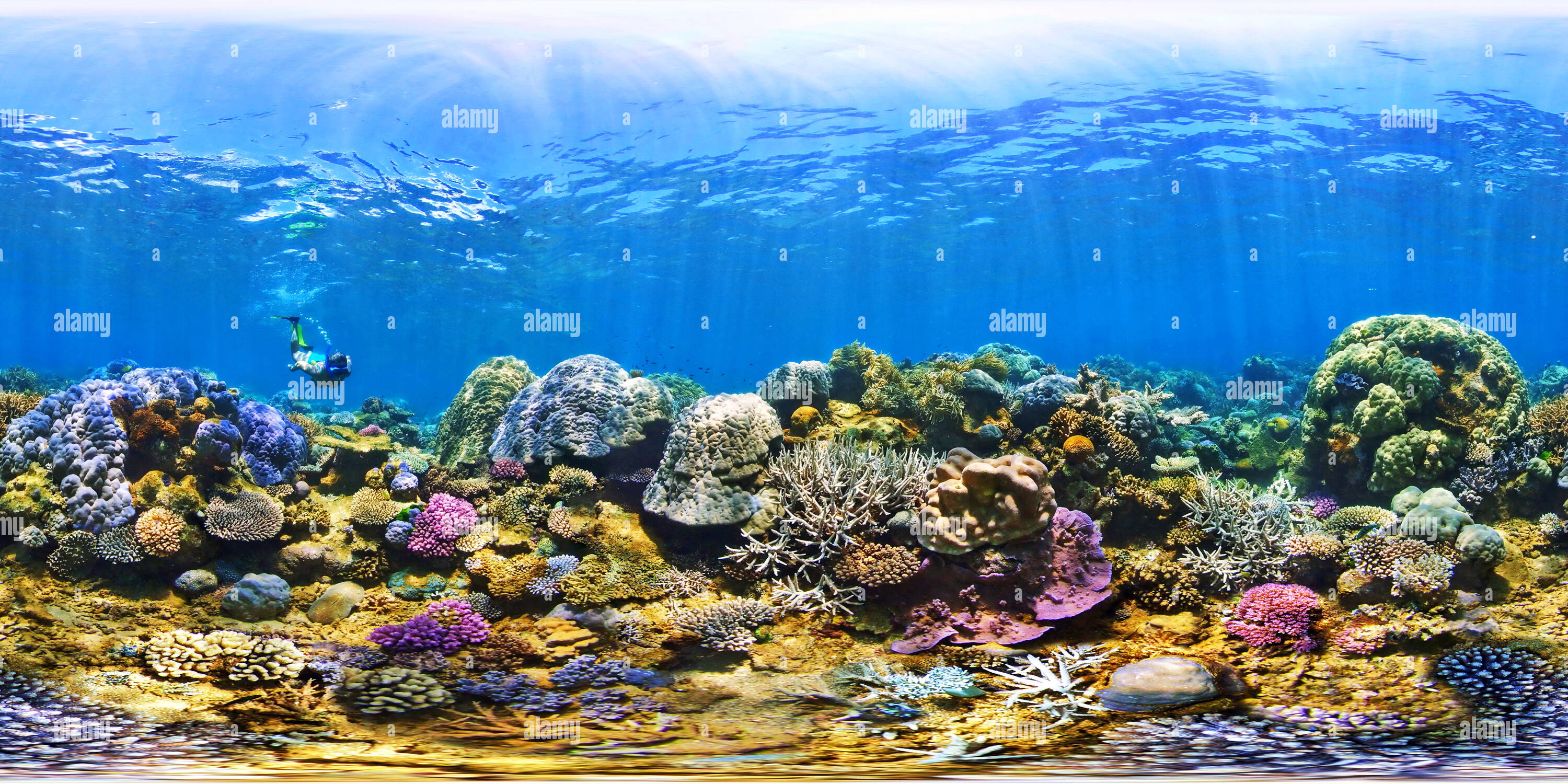 360 degree panoramic view of Nemou Island Coral Reef New Caledonia