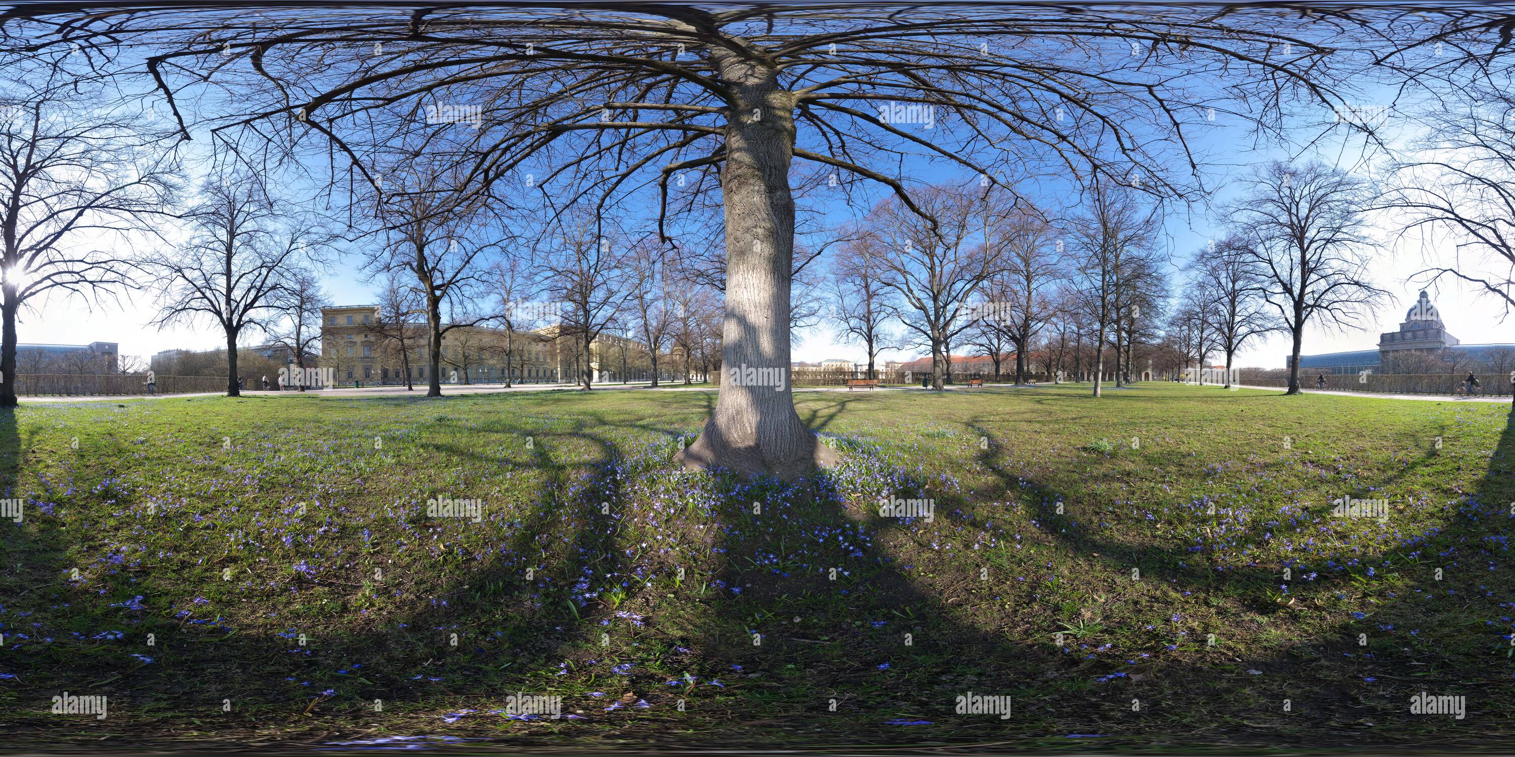 360° view of Spring at Hofgarten - Alamy