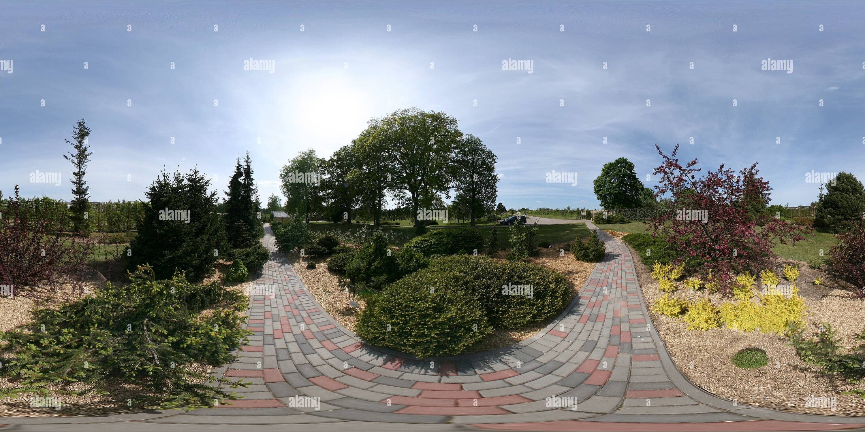 360 degree panoramic view of Ornamental trees and shrubs at the Kalsnava Arboretum, Latvia