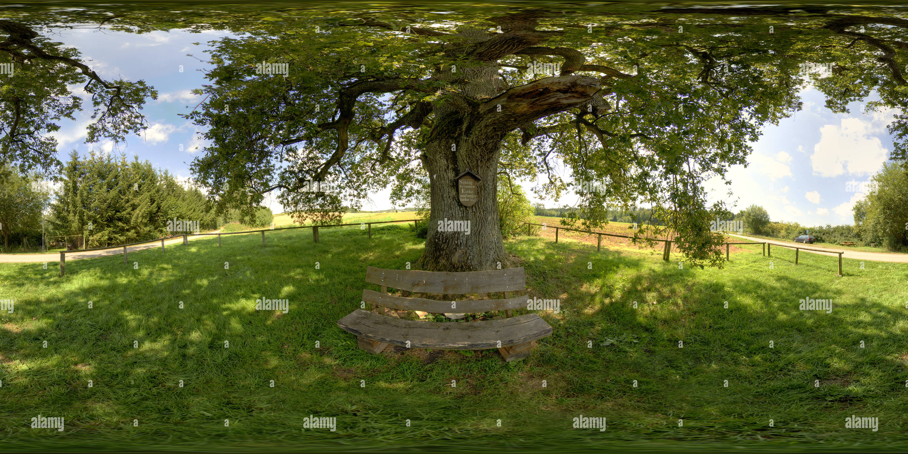 Alte Eiche Stock Photos & Alte Eiche Stock Images Alamy