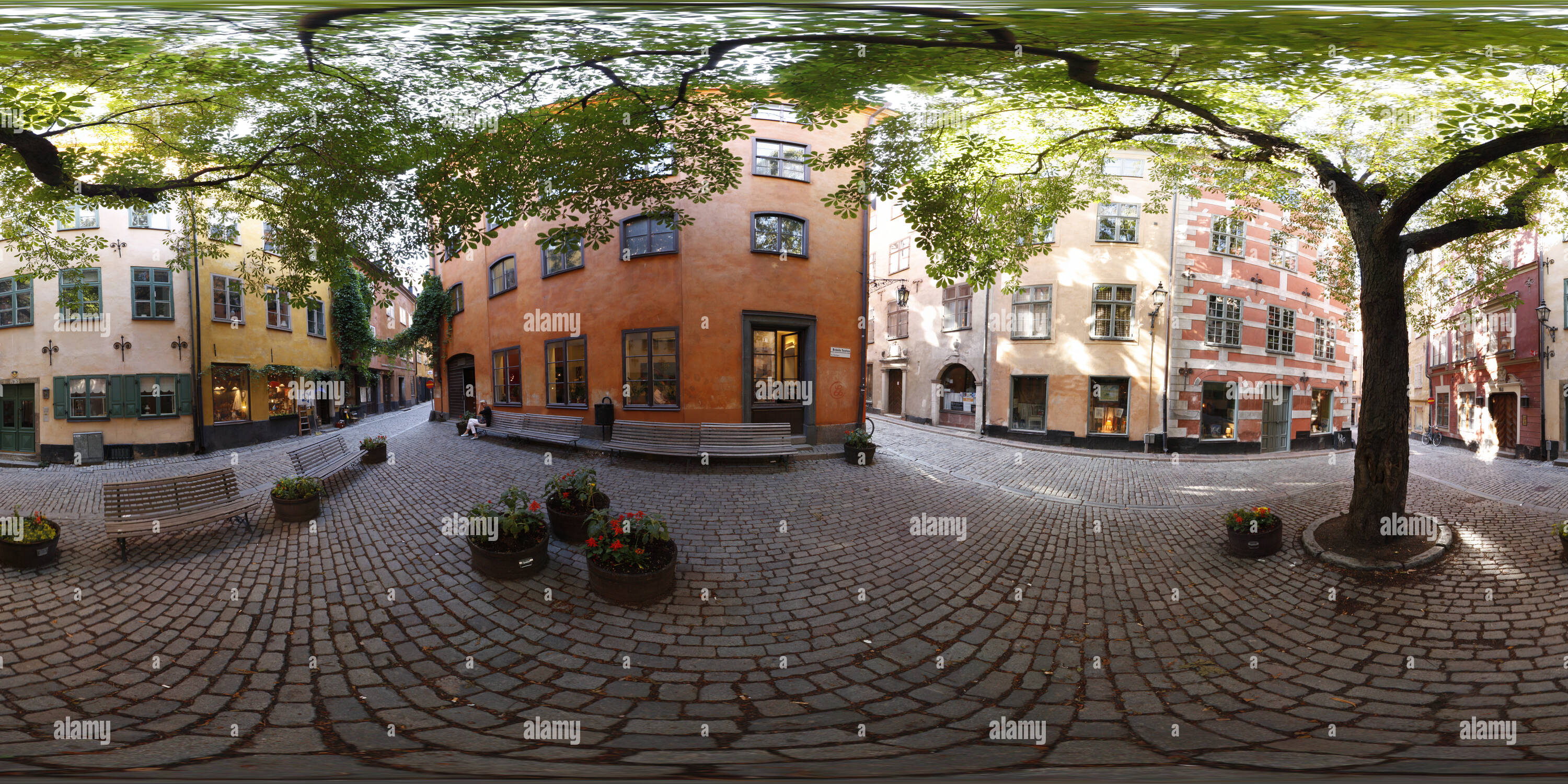 360-view-of-the-burnt-plot-alamy
