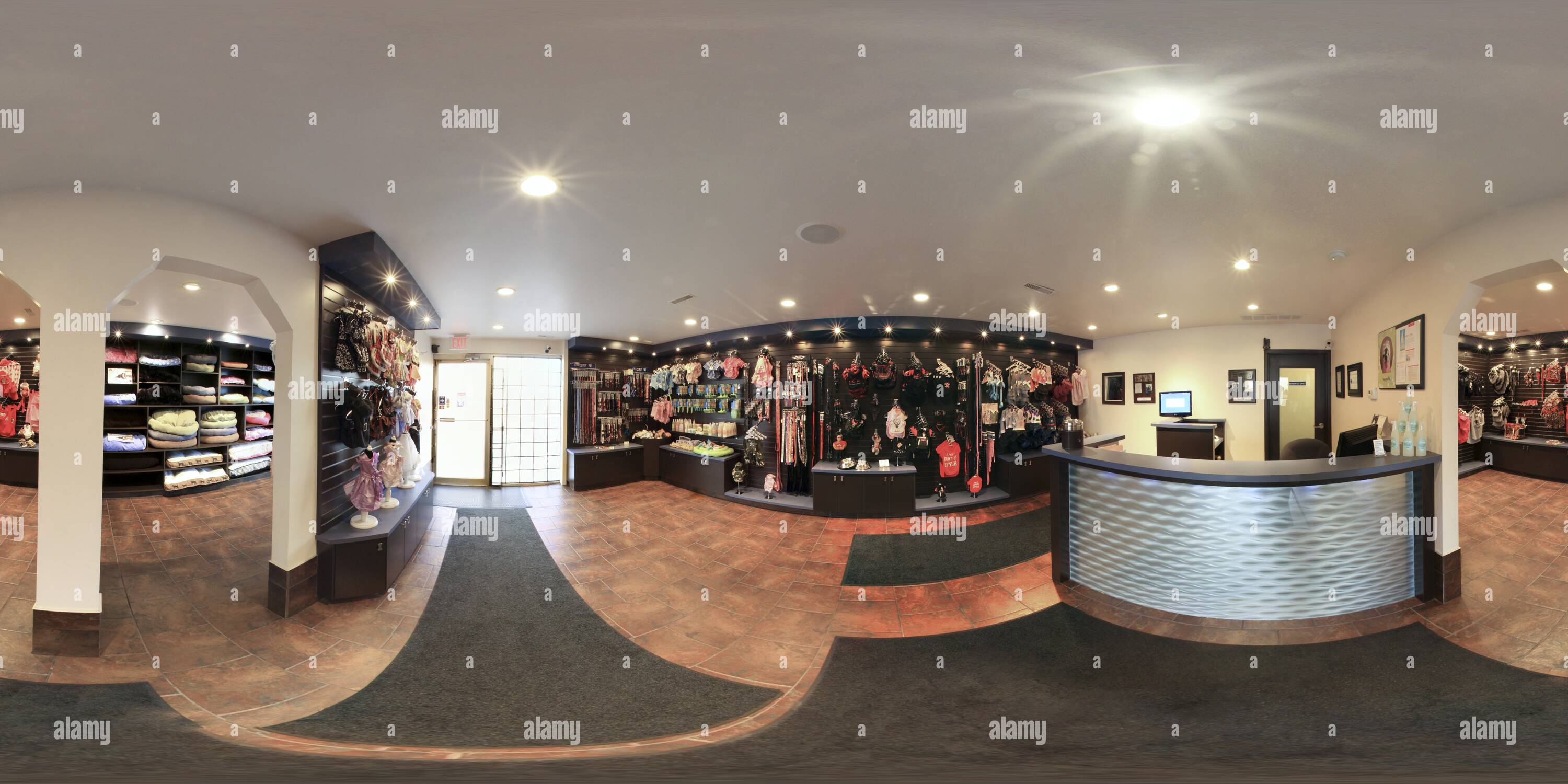 360° view of Chasin'Tails, Dog boarding and grooming in Calgary Alamy
