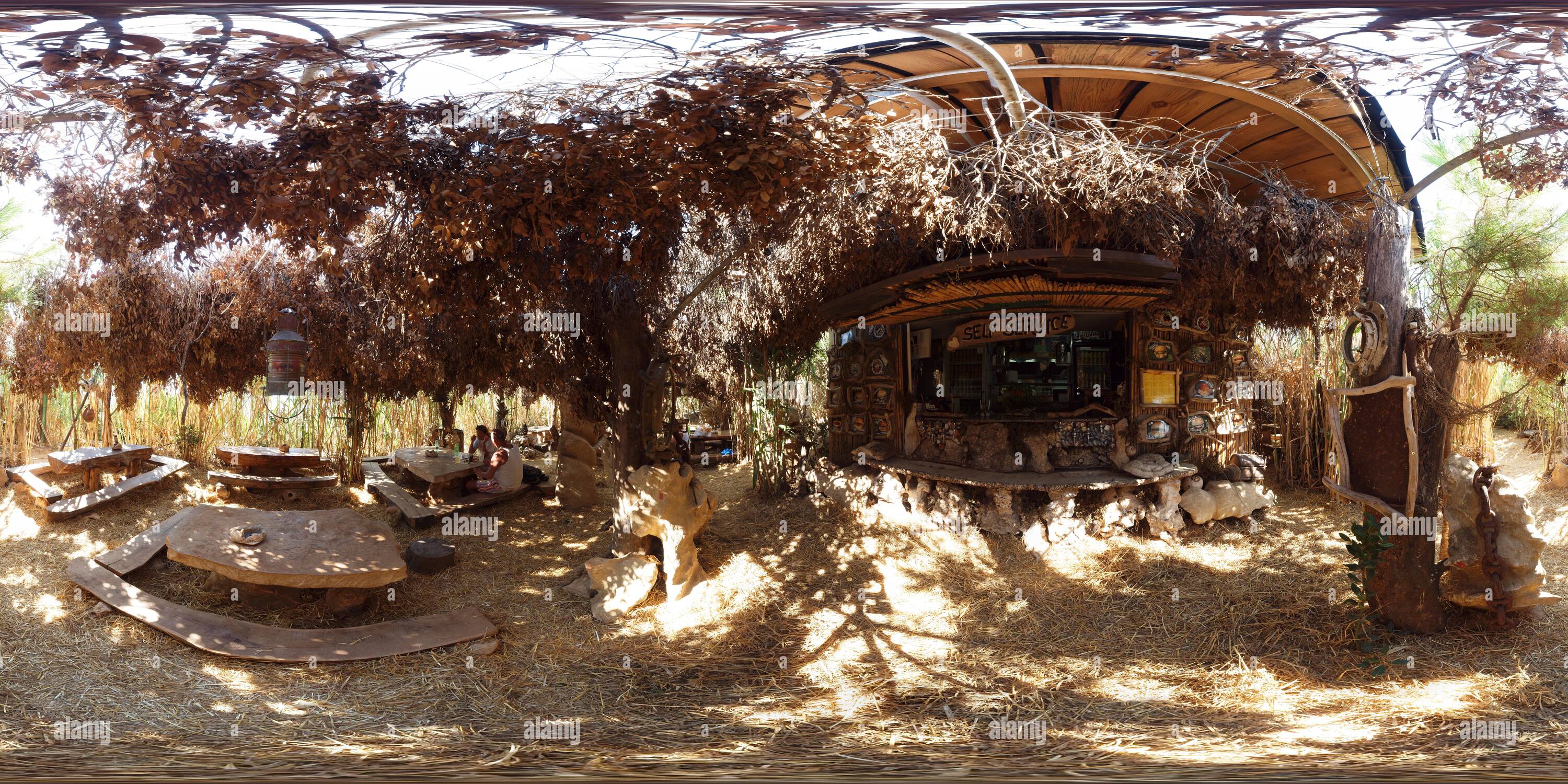 360 degree panoramic view of The Safari Bar
