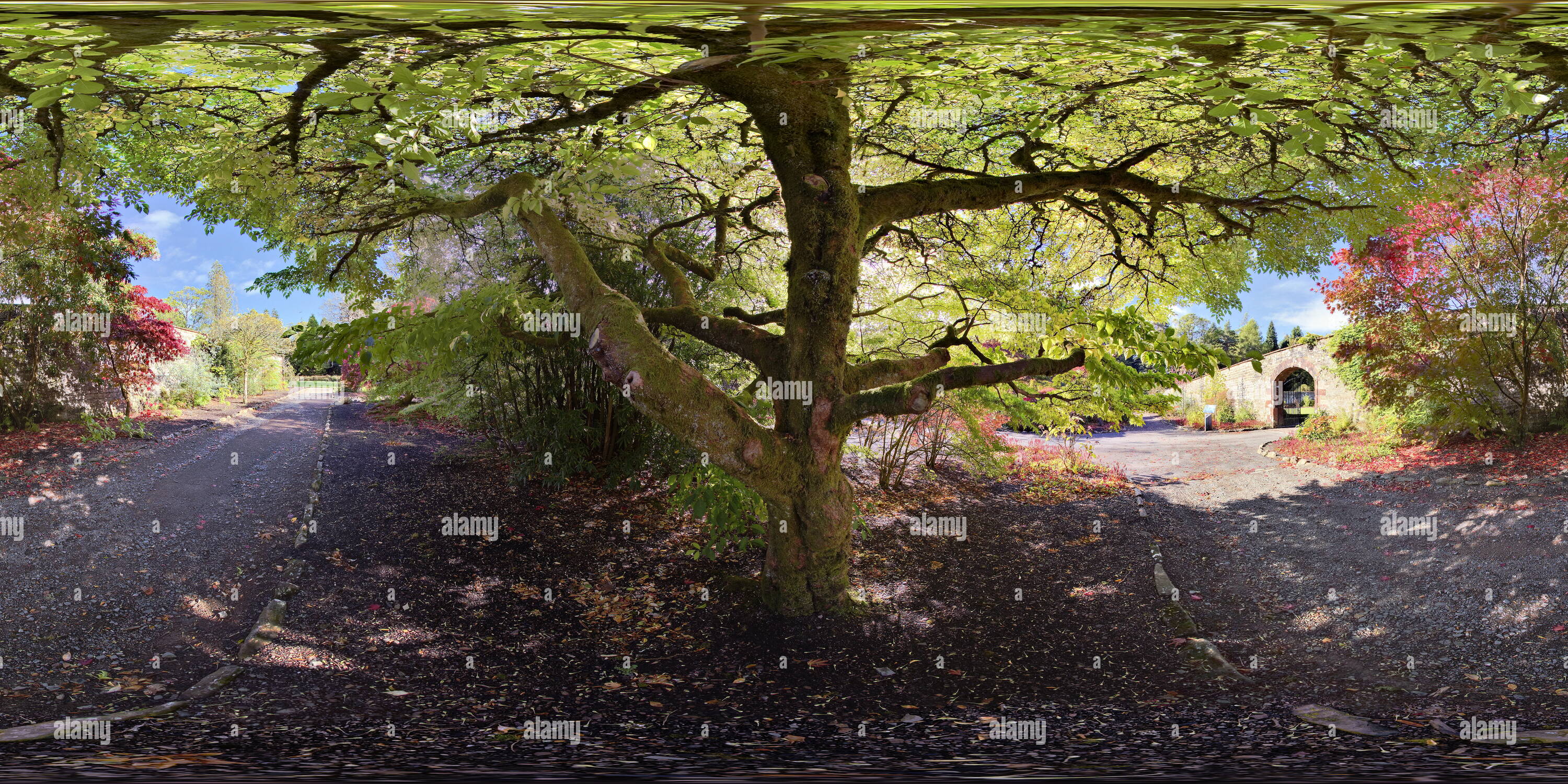360° view of Balloch Country Park - Alamy