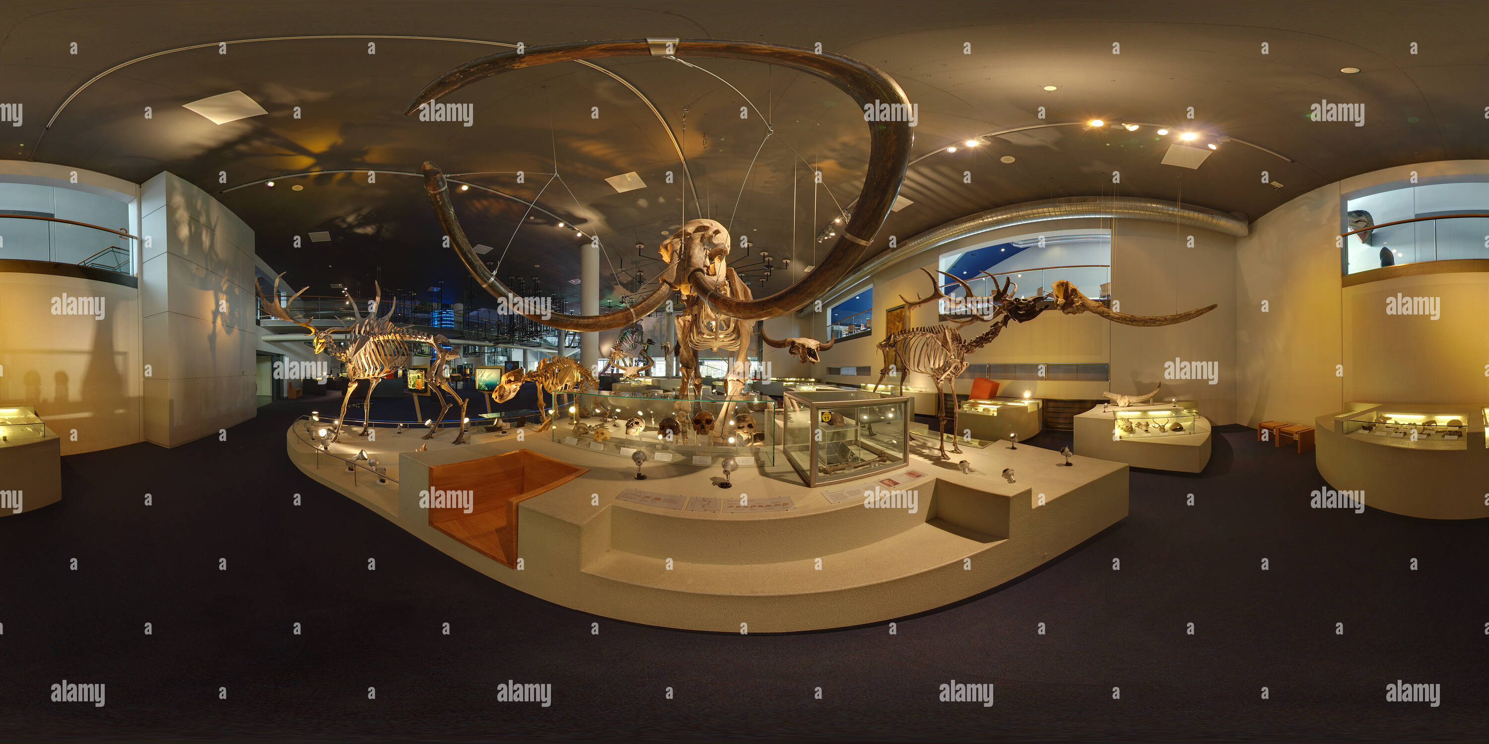 360 degree panoramic view of Naturalis, the Dutch National Natural History Museum in Leiden