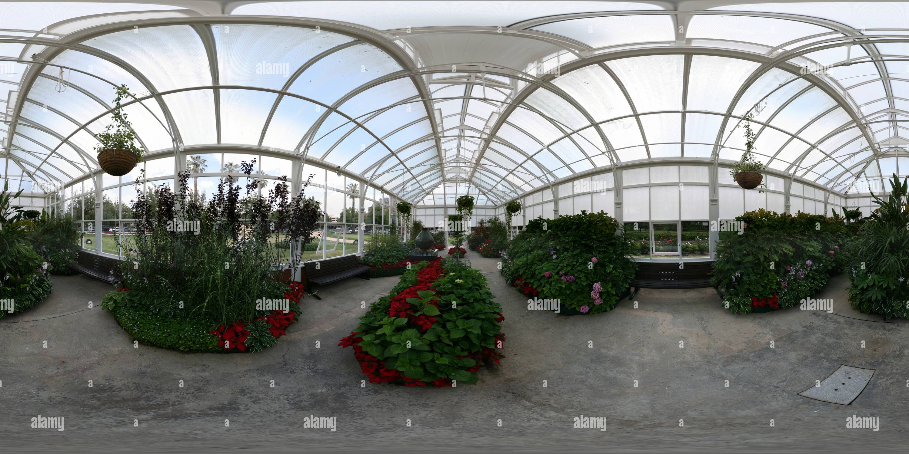 360° view of Bendigo Conservatory Gardens Flower Bloom Glass House