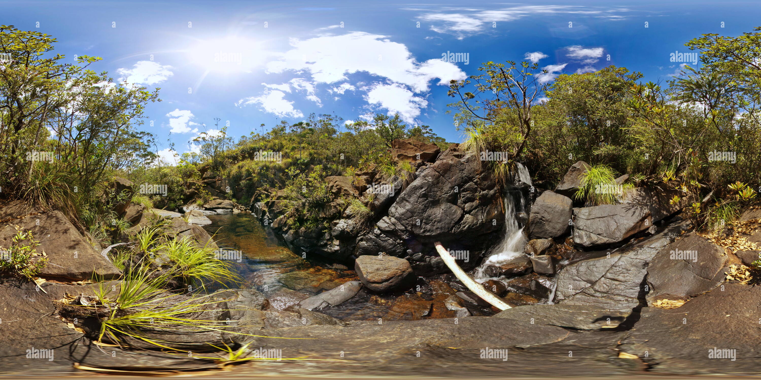 360° view of Parc Riviere Bleue New Caledonia Koureu Deni Alamy