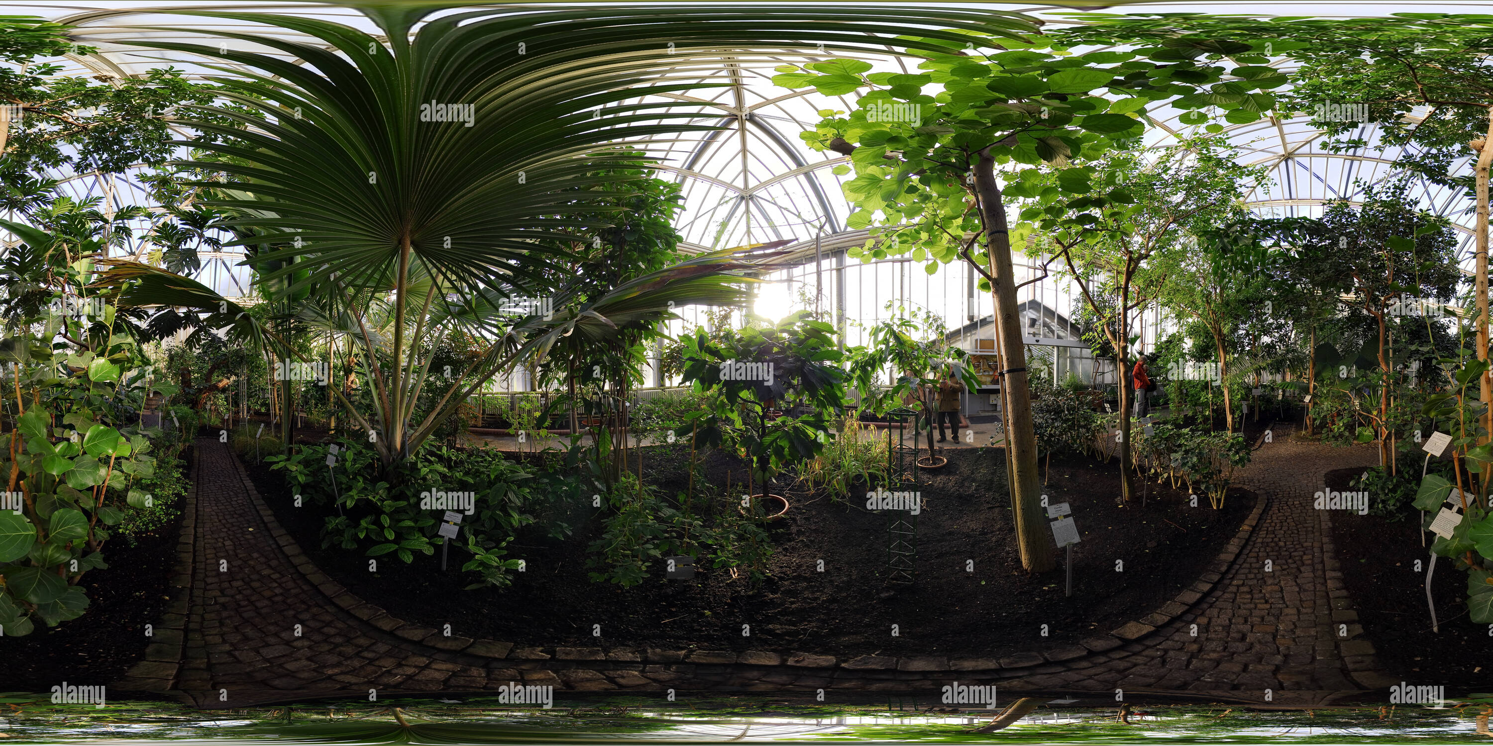 360° View Of Botanical Garden Berlin Green House C - Alamy