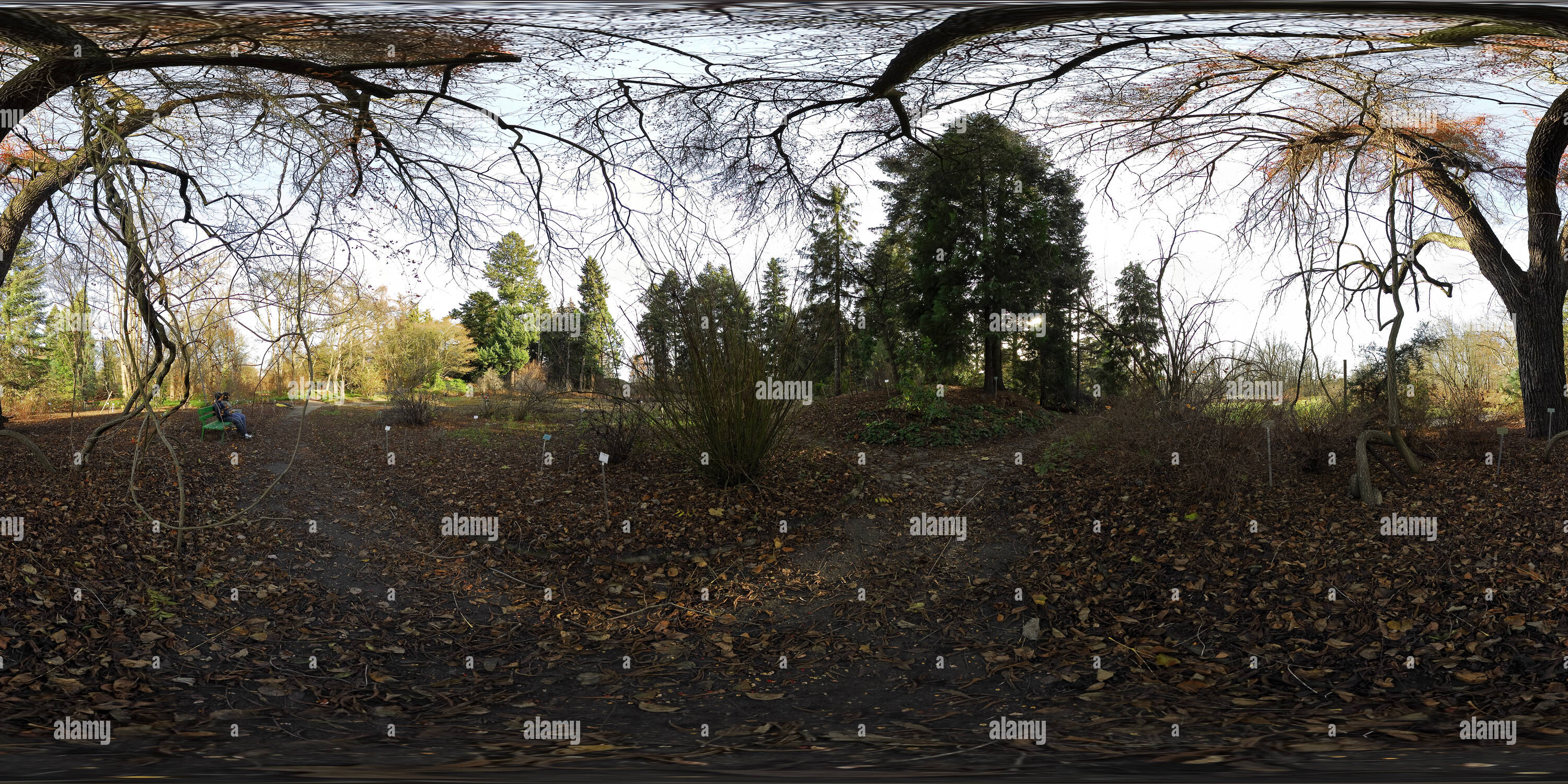 360 degree panoramic view of Botanical Garden Berlin in November