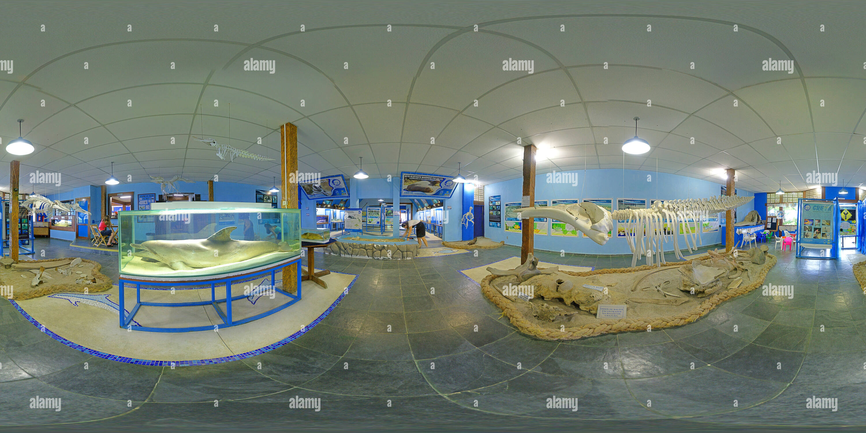 360 degree panoramic view of Fôsseis no Museu de Vida Marinha do Aquário de Ubatuba