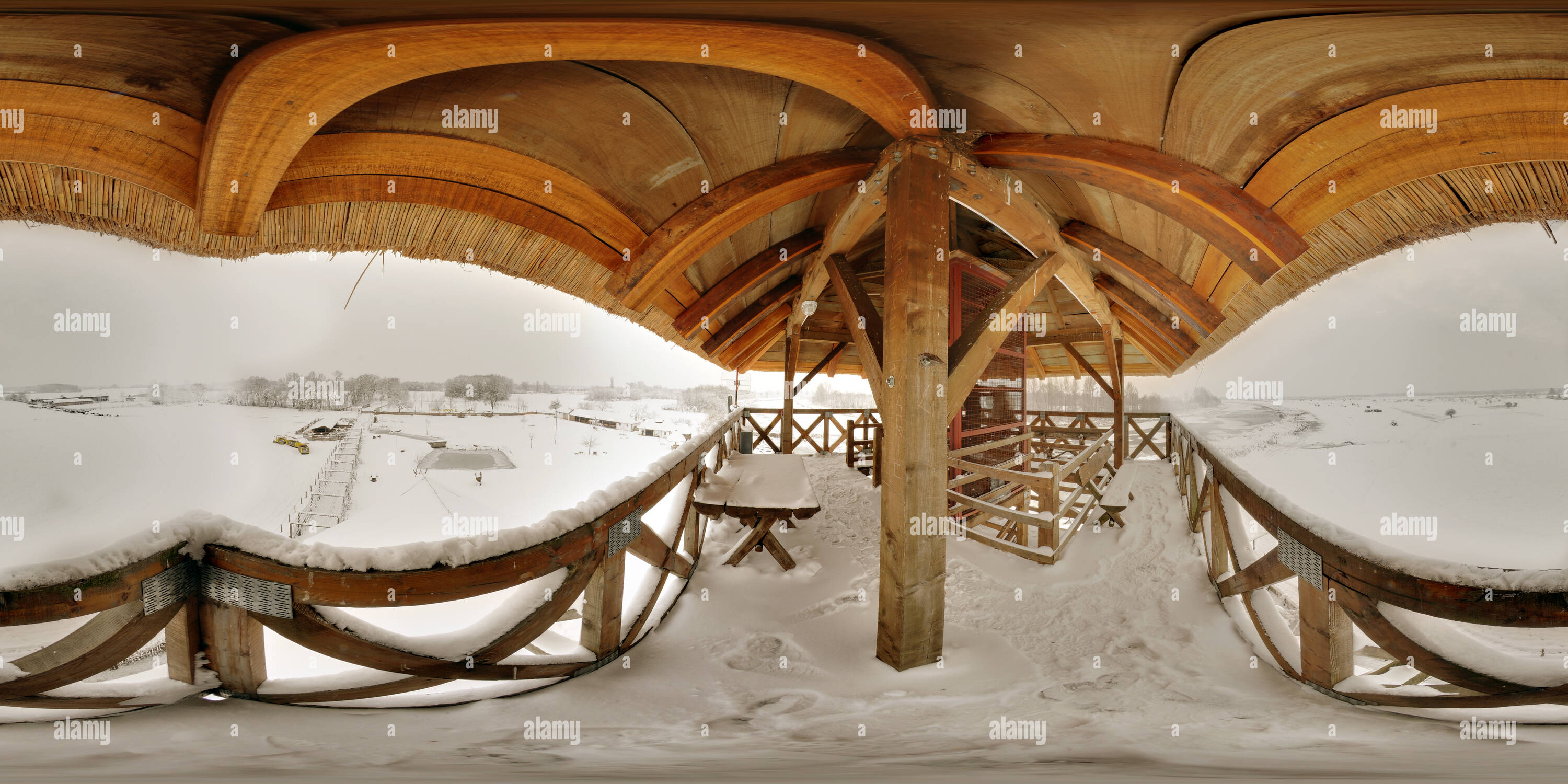 360 degree panoramic view of Zasavica Special Nature Reserve, Visitors Tower, Vojvodina, Serbia