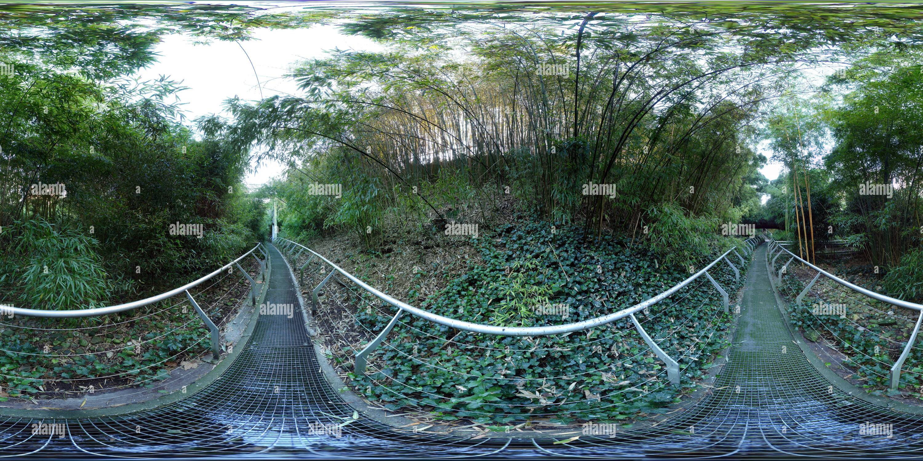 360° view of Bamboo Garden, Parc de la Villette Alamy