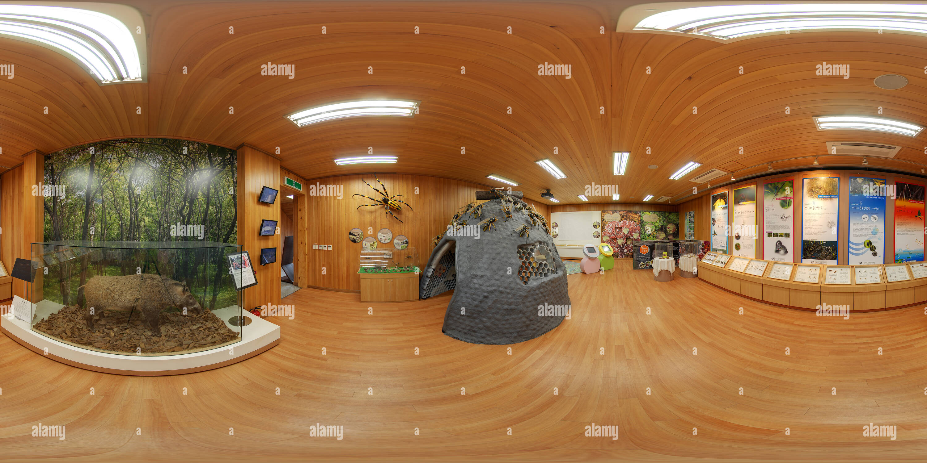 360 degree panoramic view of Exhibition Room, Gildong Ecological Cultural Center