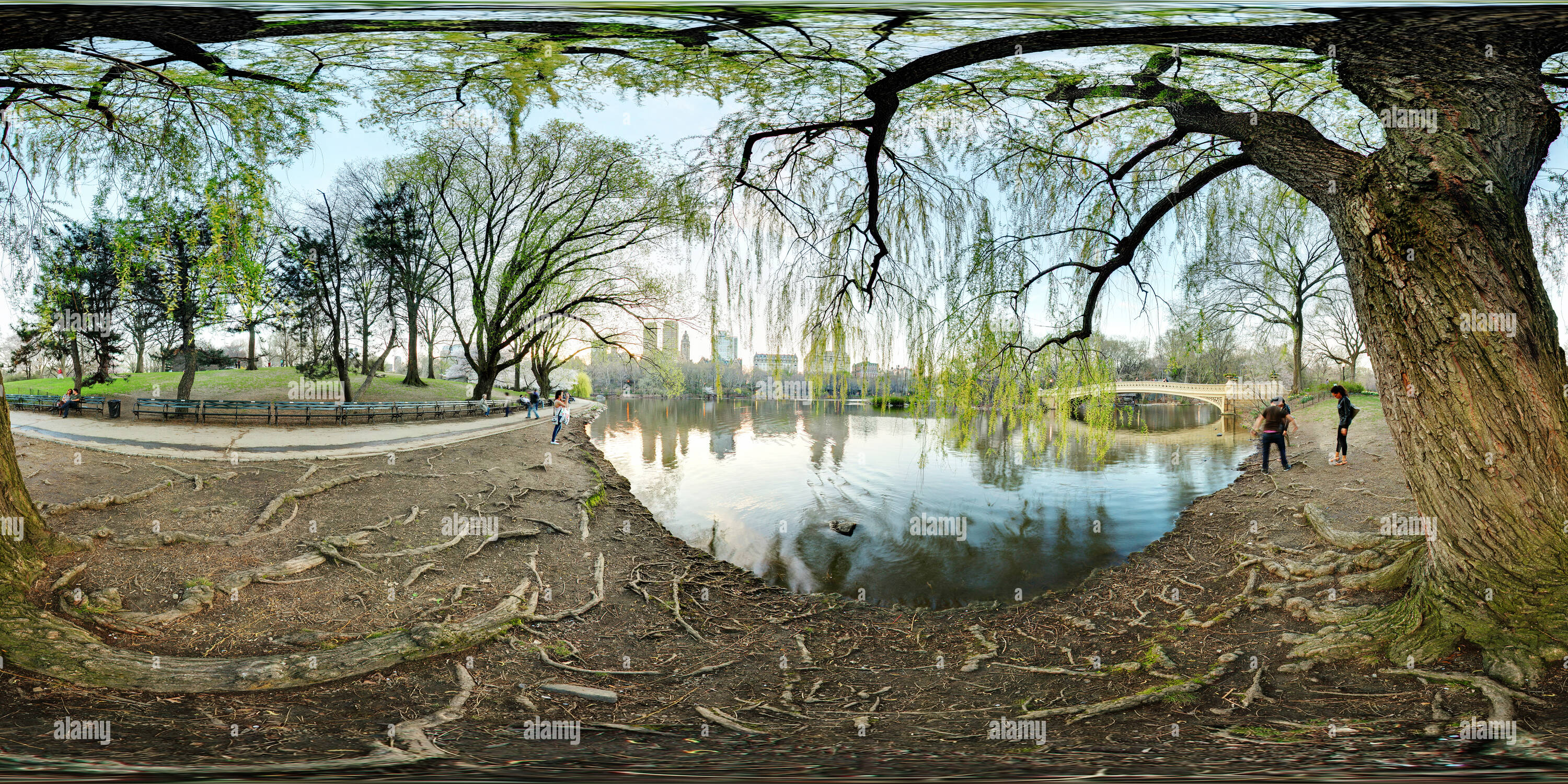 360° view of The Lake in Central Park Alamy