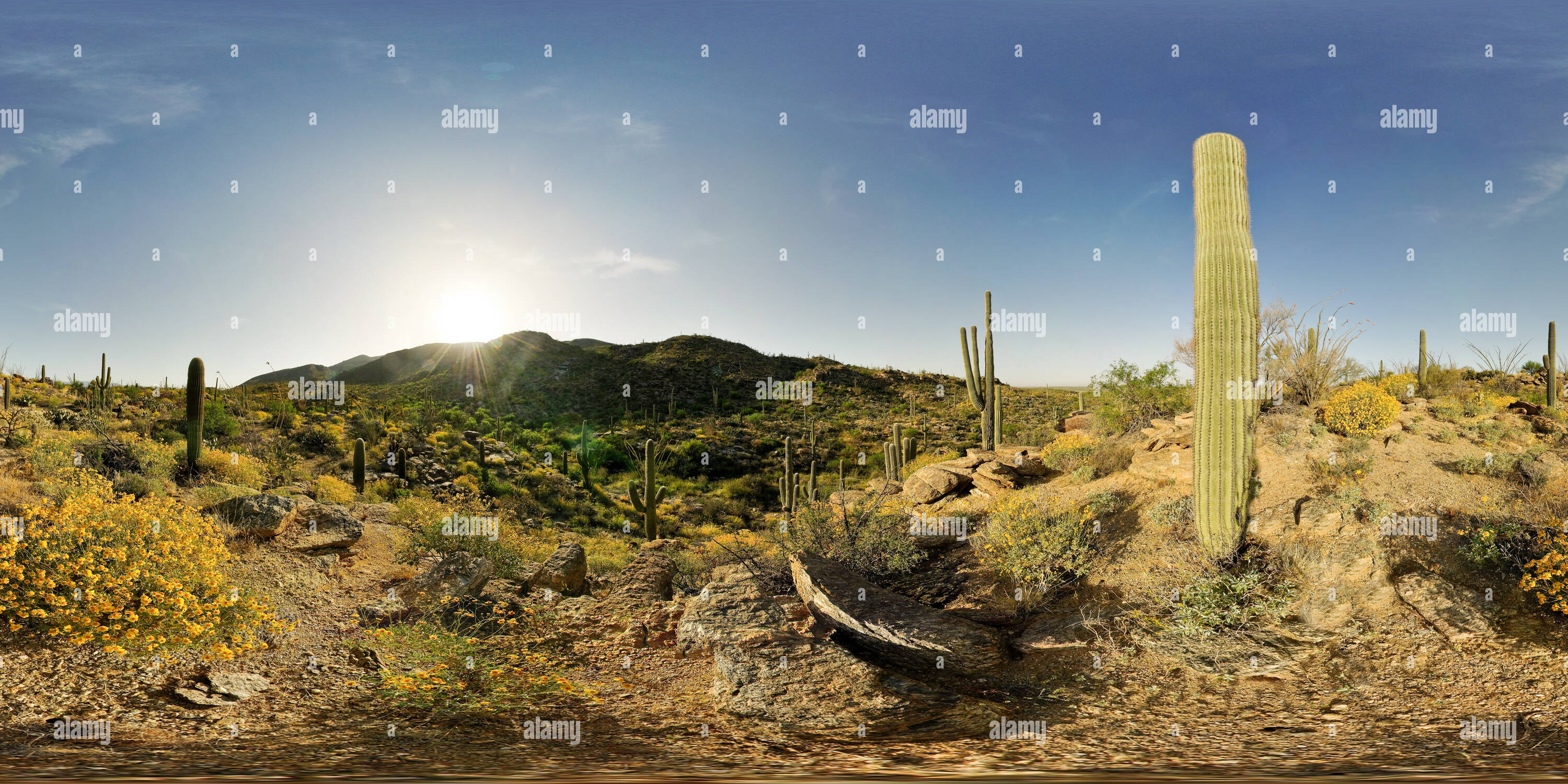 360 degree panoramic view of Sunrise 2, Saguaro National Park (East), Tucson