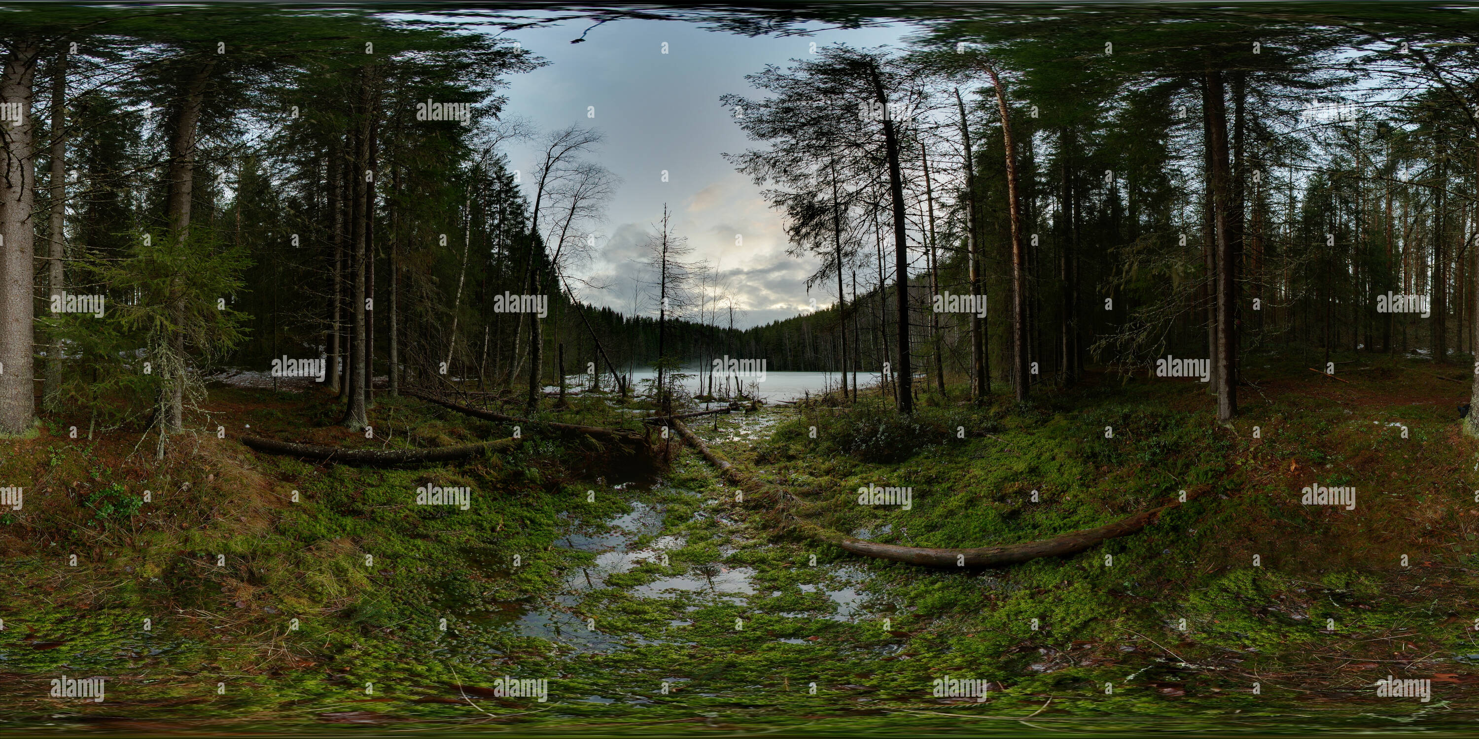 360° view of Kettle lake Huosianen, southeast shore, Siilinjärvi Alamy