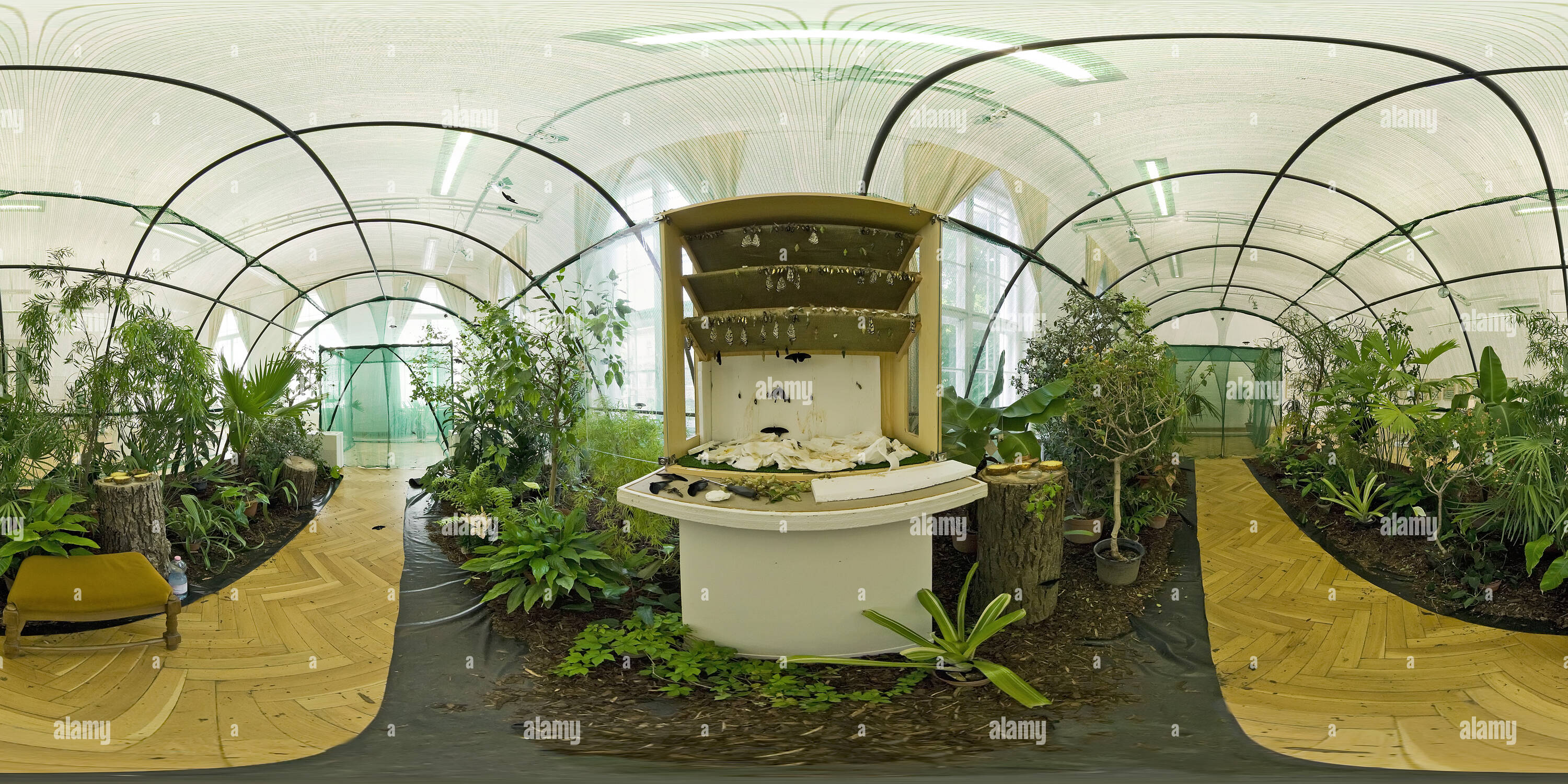 Lepke hires stock photography and images Alamy