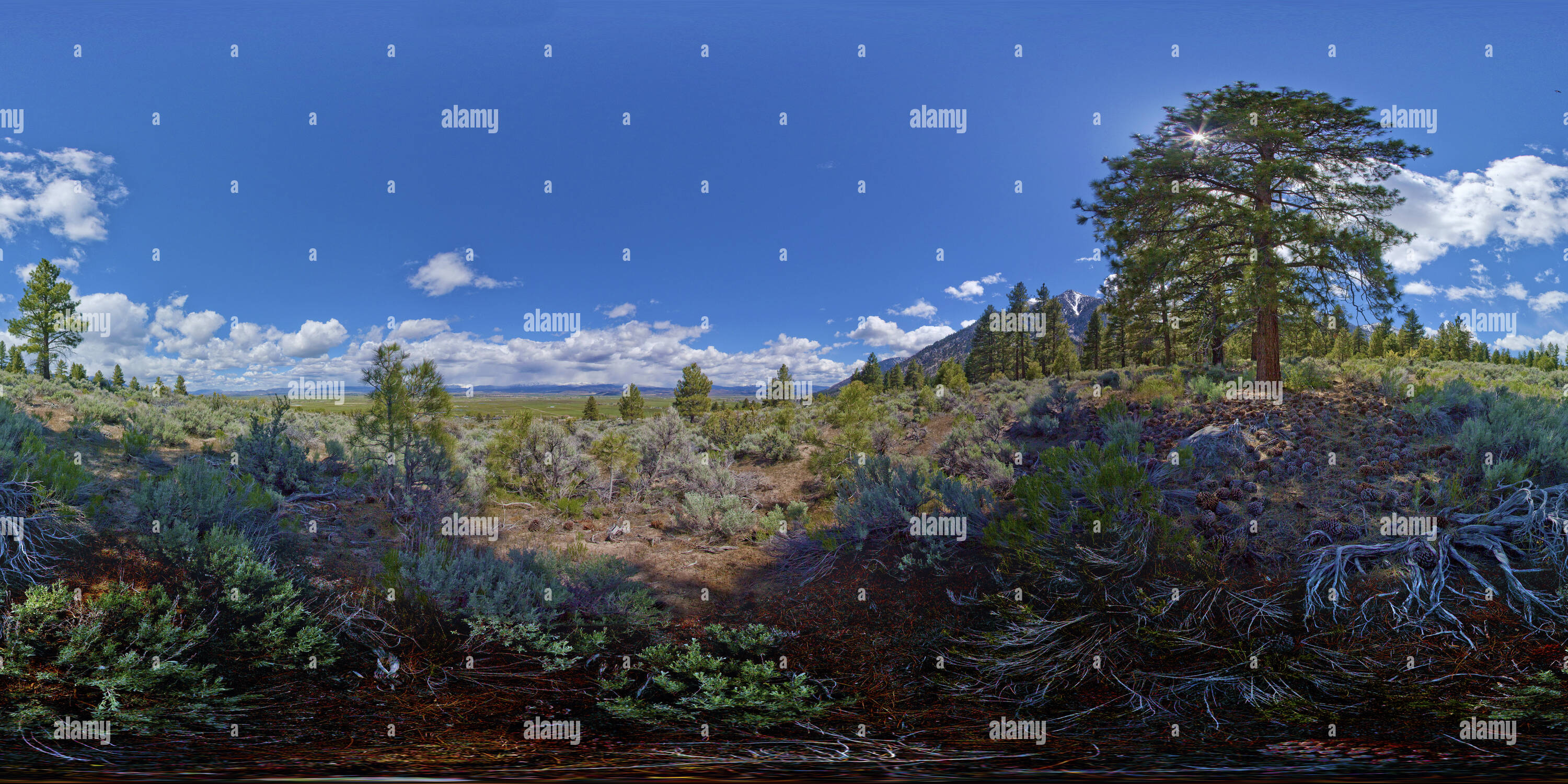 360° view of Carson Valley Nevada Alamy