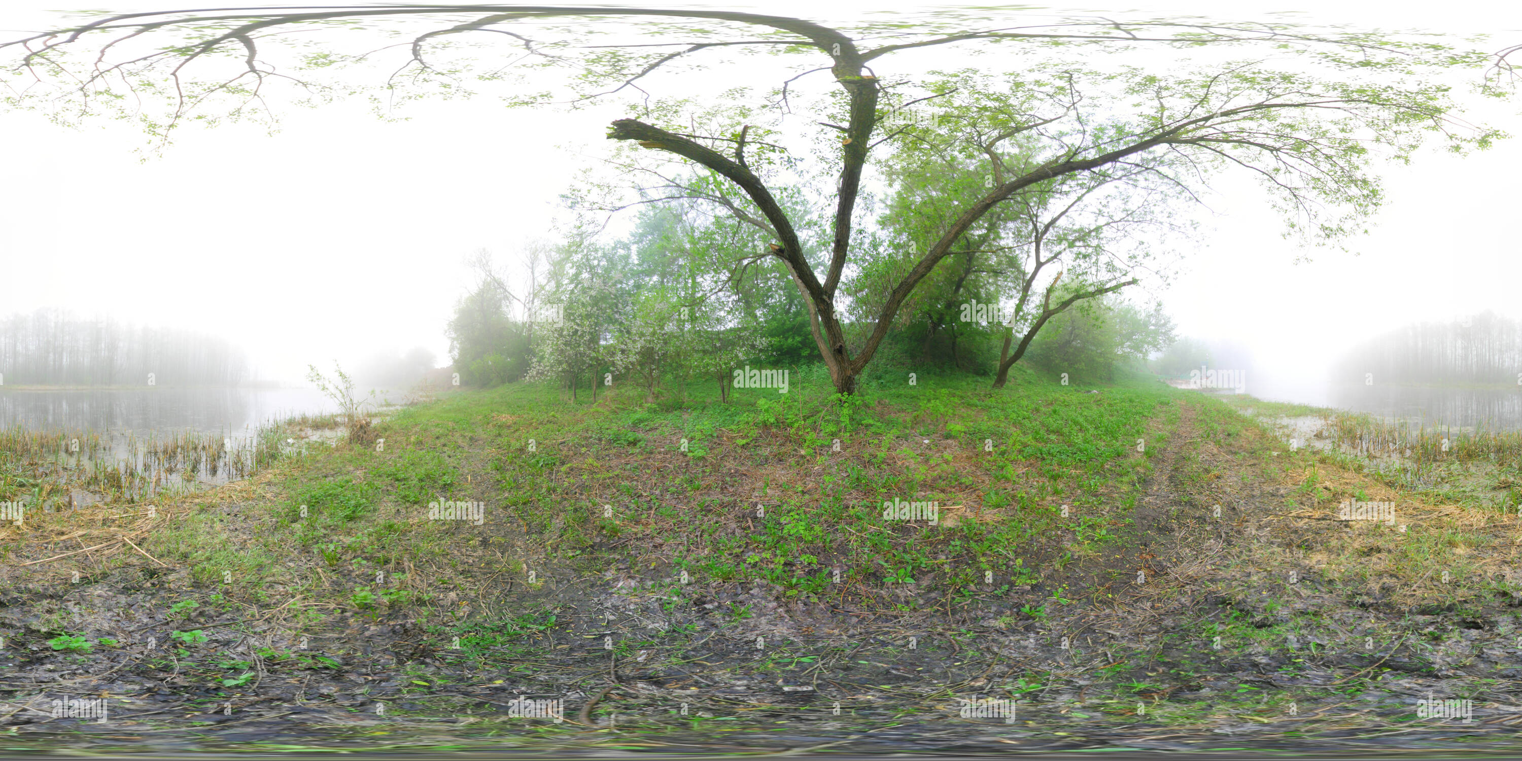 360° view of Oxbow lake border of the Bug River in the village Orchówek
