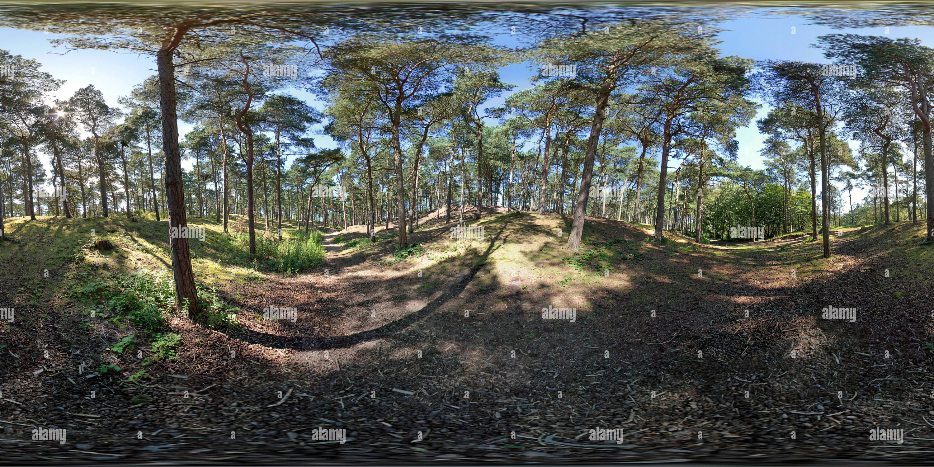 360° view of Formby Woodlands Covering - Alamy