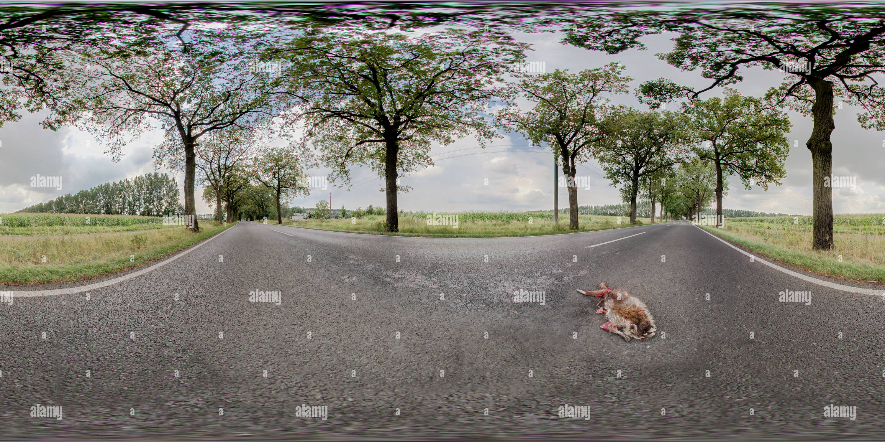 360 degree panoramic view of Mort Tod Death