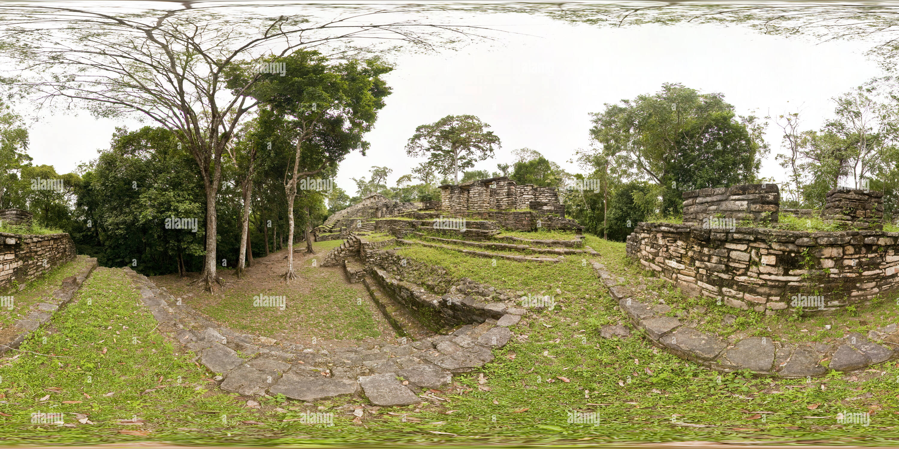 360° view of Mayan Ruins at Yaxchilan - Alamy