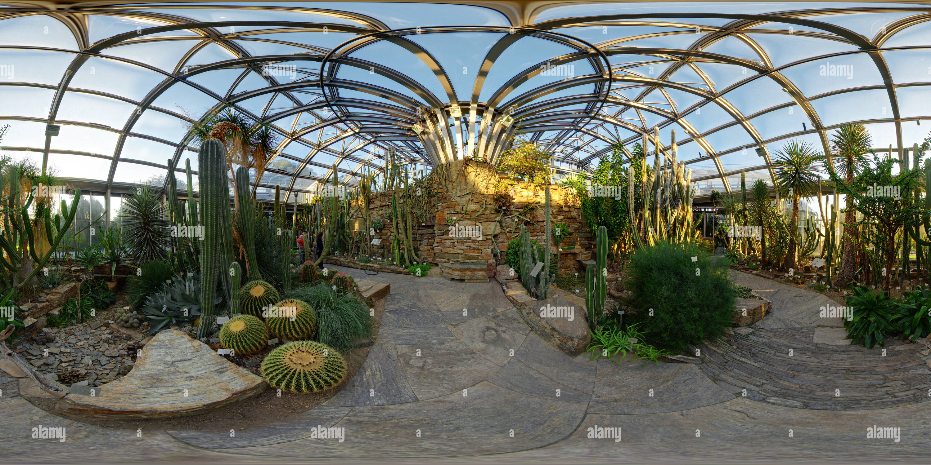 Cactus Greenhouse Stock Photos & Cactus Greenhouse Stock Images Alamy