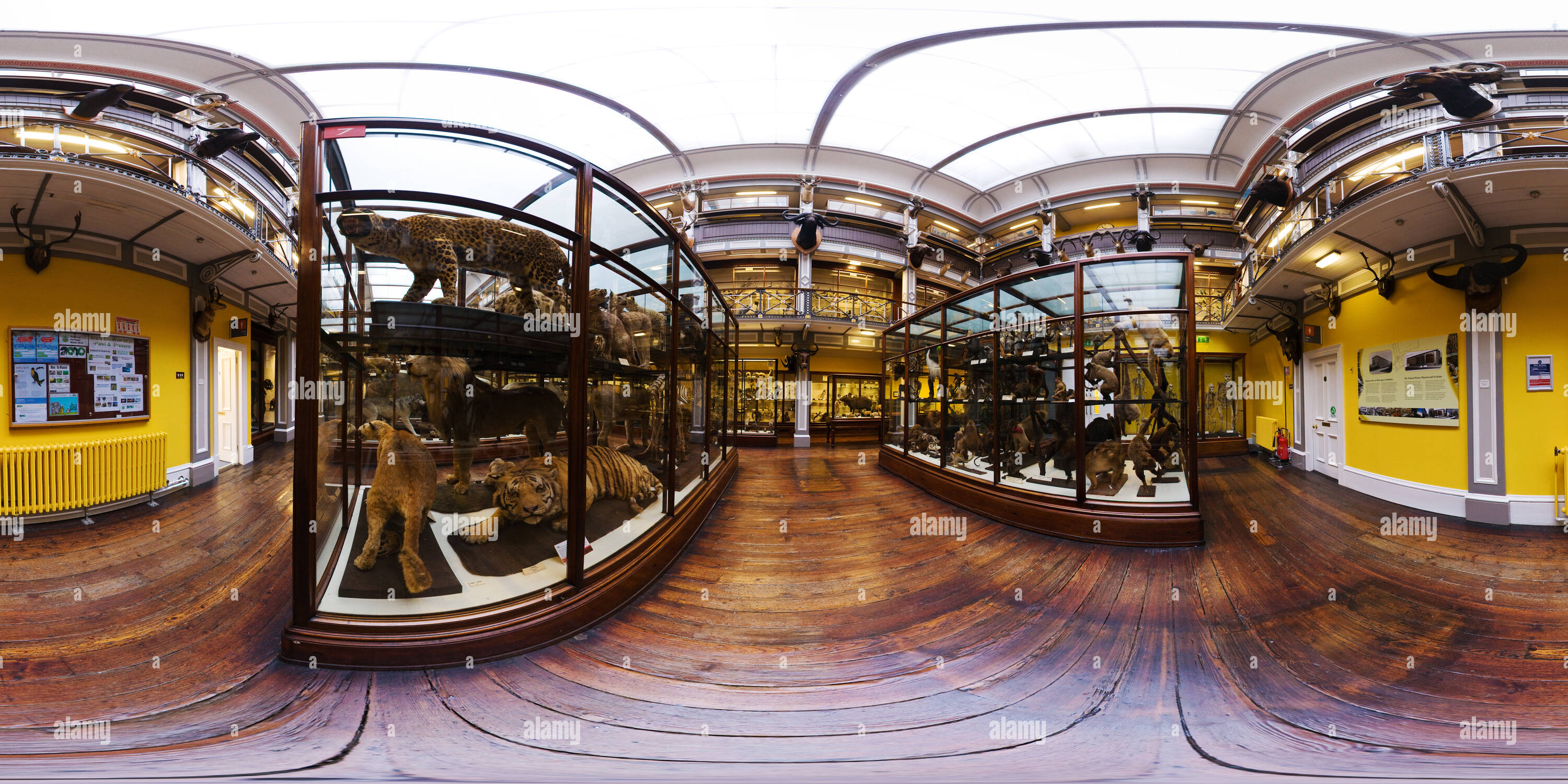 360° View Of Natural History Museum - Alamy