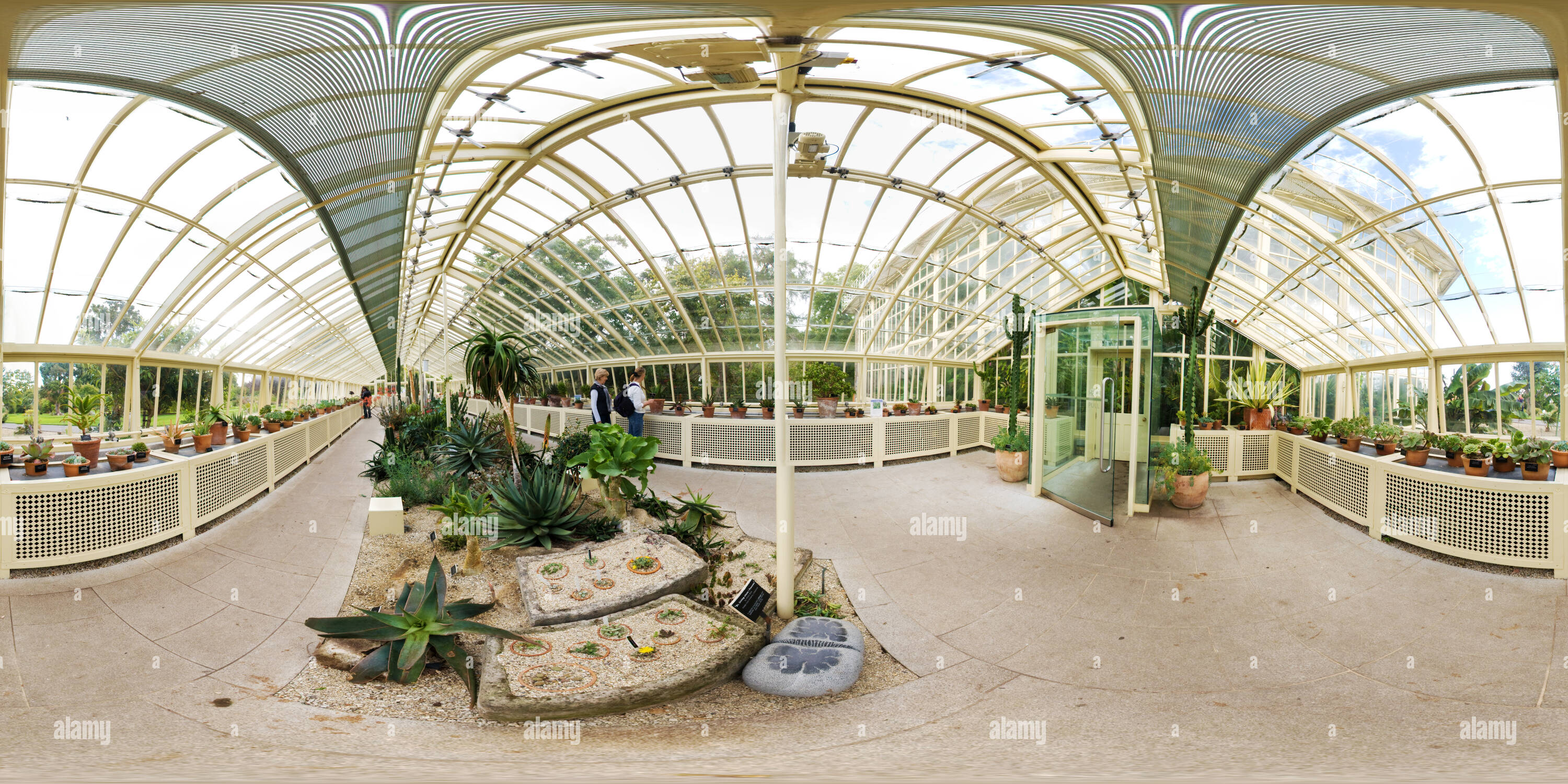 360 degree panoramic view of Greenhouse in Glasnevin National Botanic Gardens