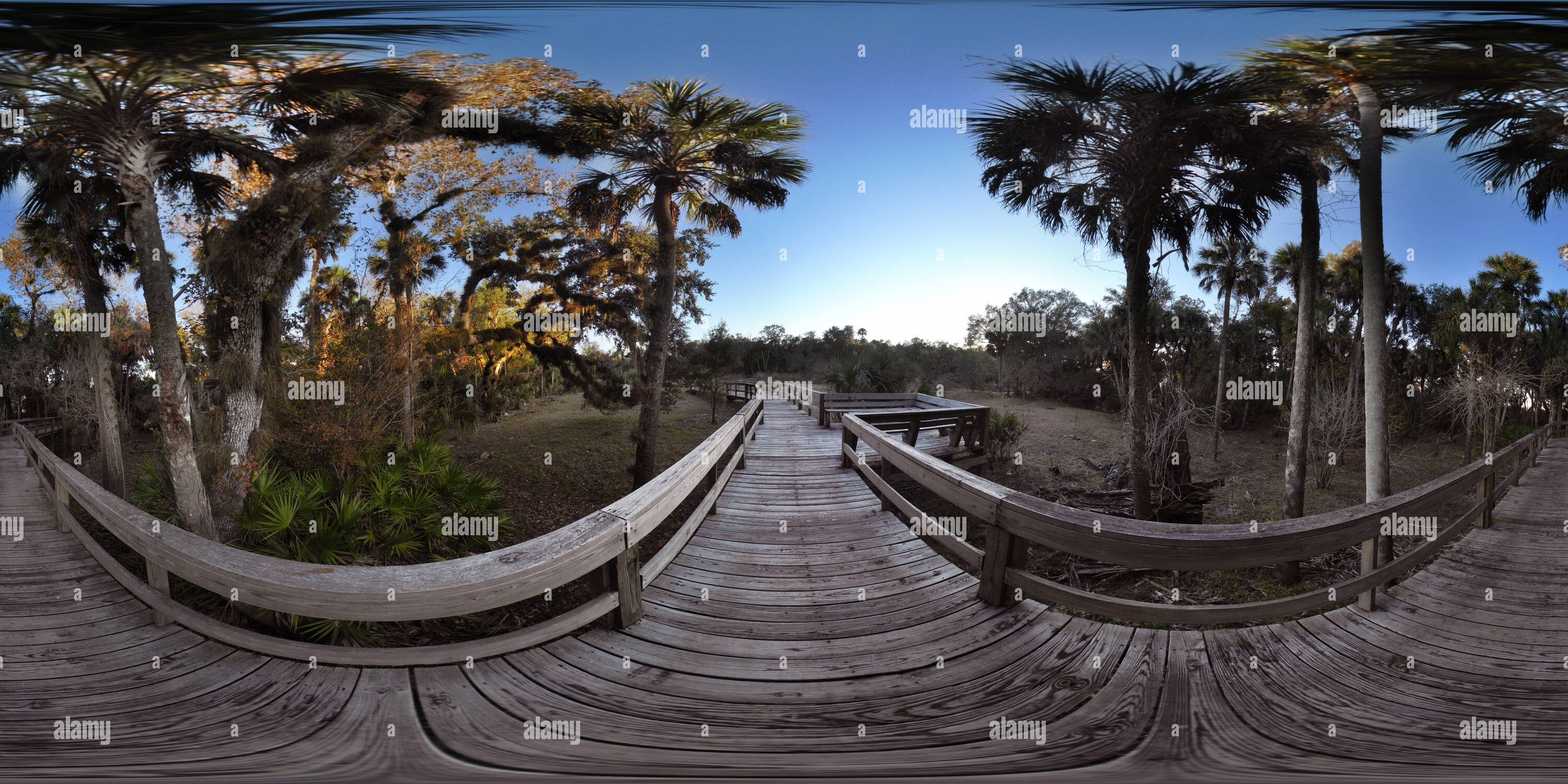 360 View Of Little Big Econ State Forest Oviedo Florida Usa Alamy
